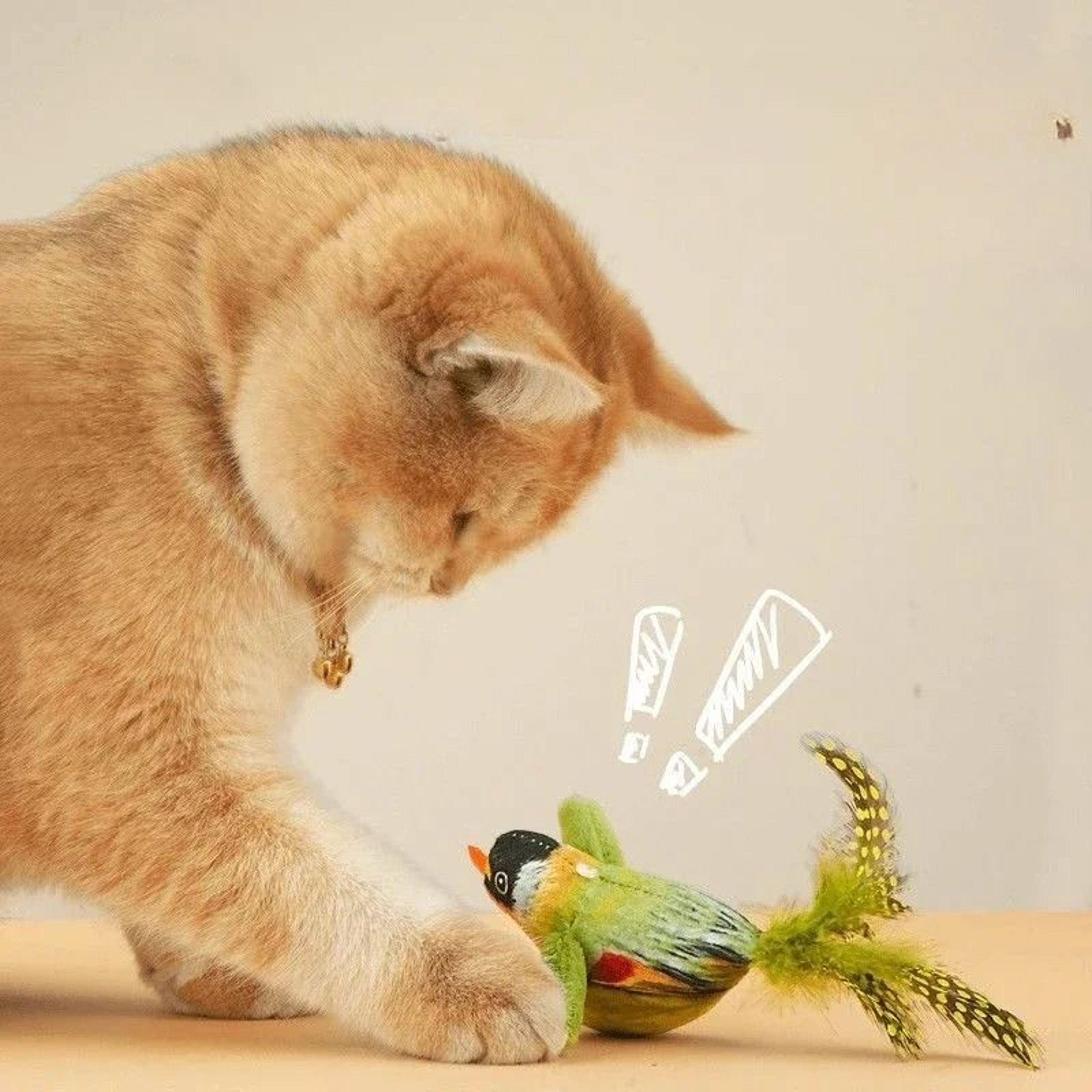 Wall Hanging Bird Cat Toy With Sound And Catnip 7