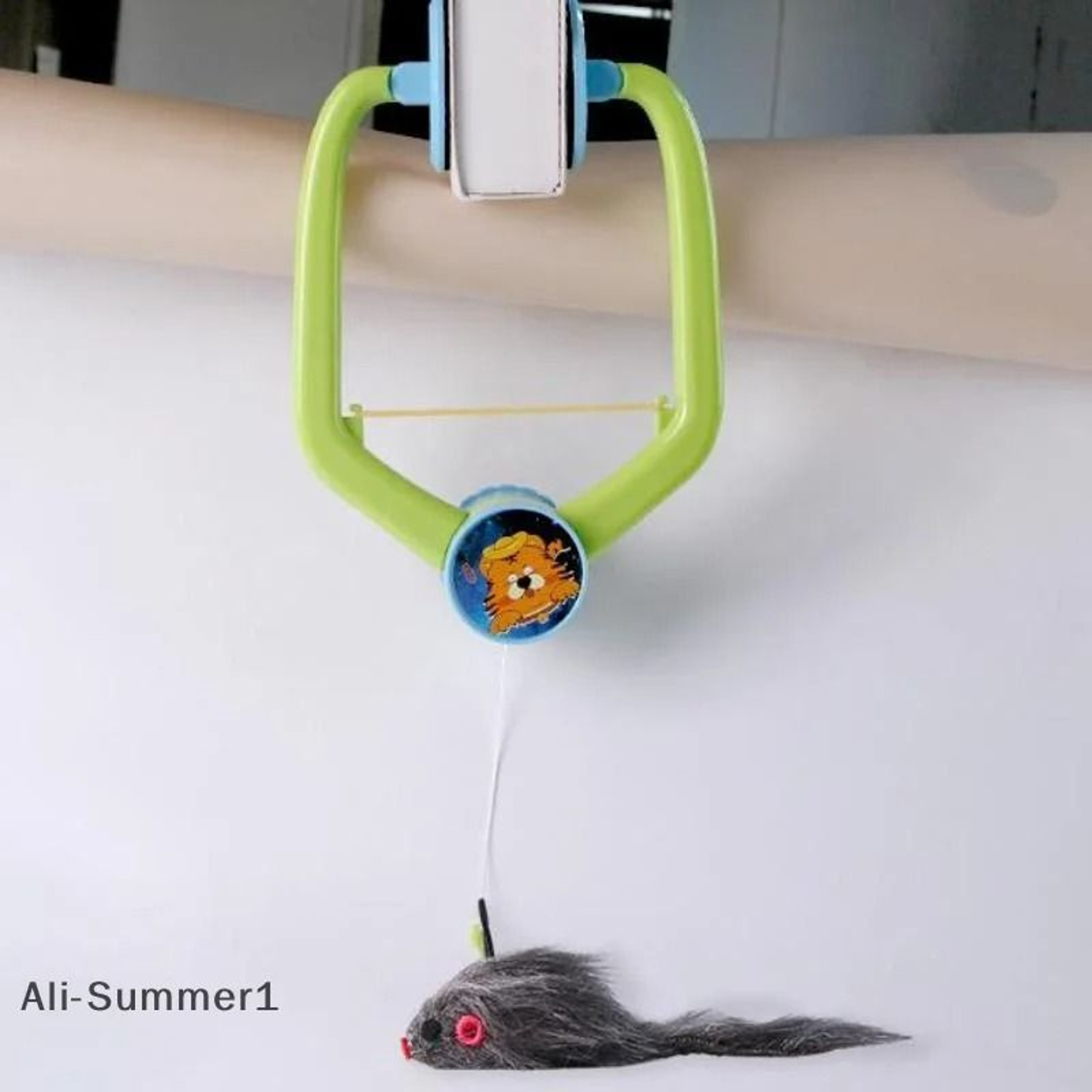Interactive Door Hanging Cat Toy With Swinging Feathers And Replaceable Prey Attachments 11