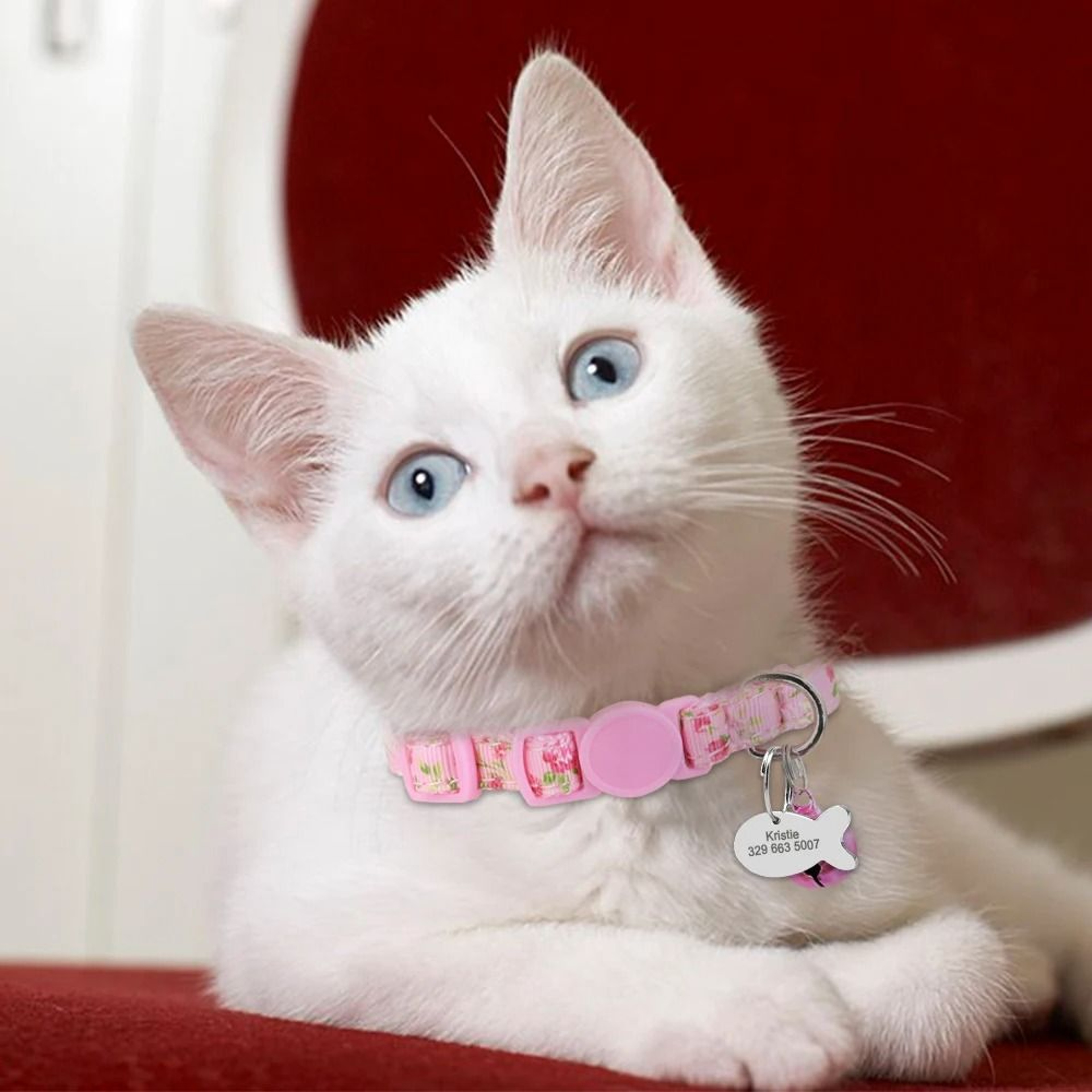 Personalized Adjustable Nylon Cat Collar With Engraved ID Tag For Kittens Puppies And Small Pets 9