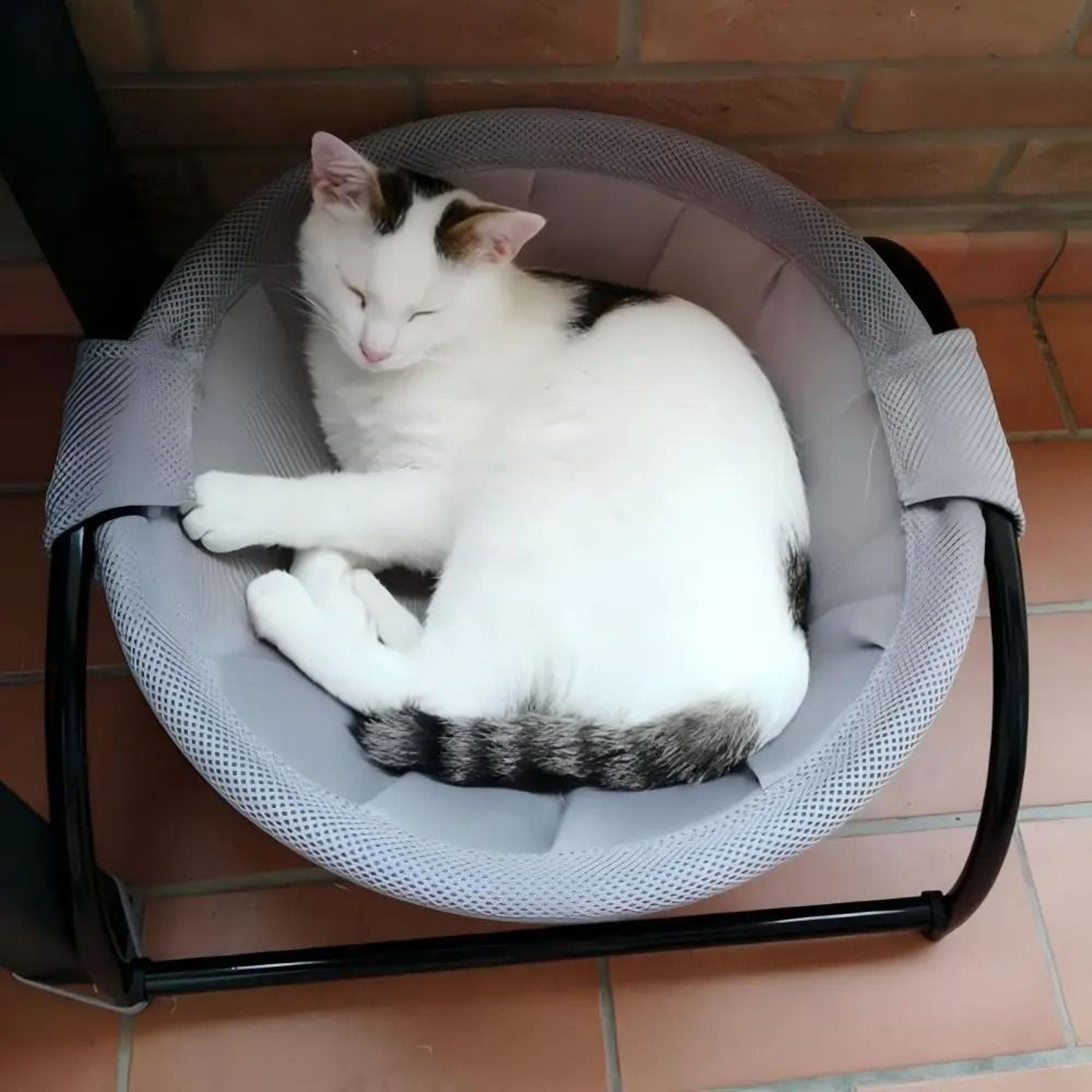 Cat Hammock Bed Detachable Standing Pet Bed For Cats And Small Dogs 7