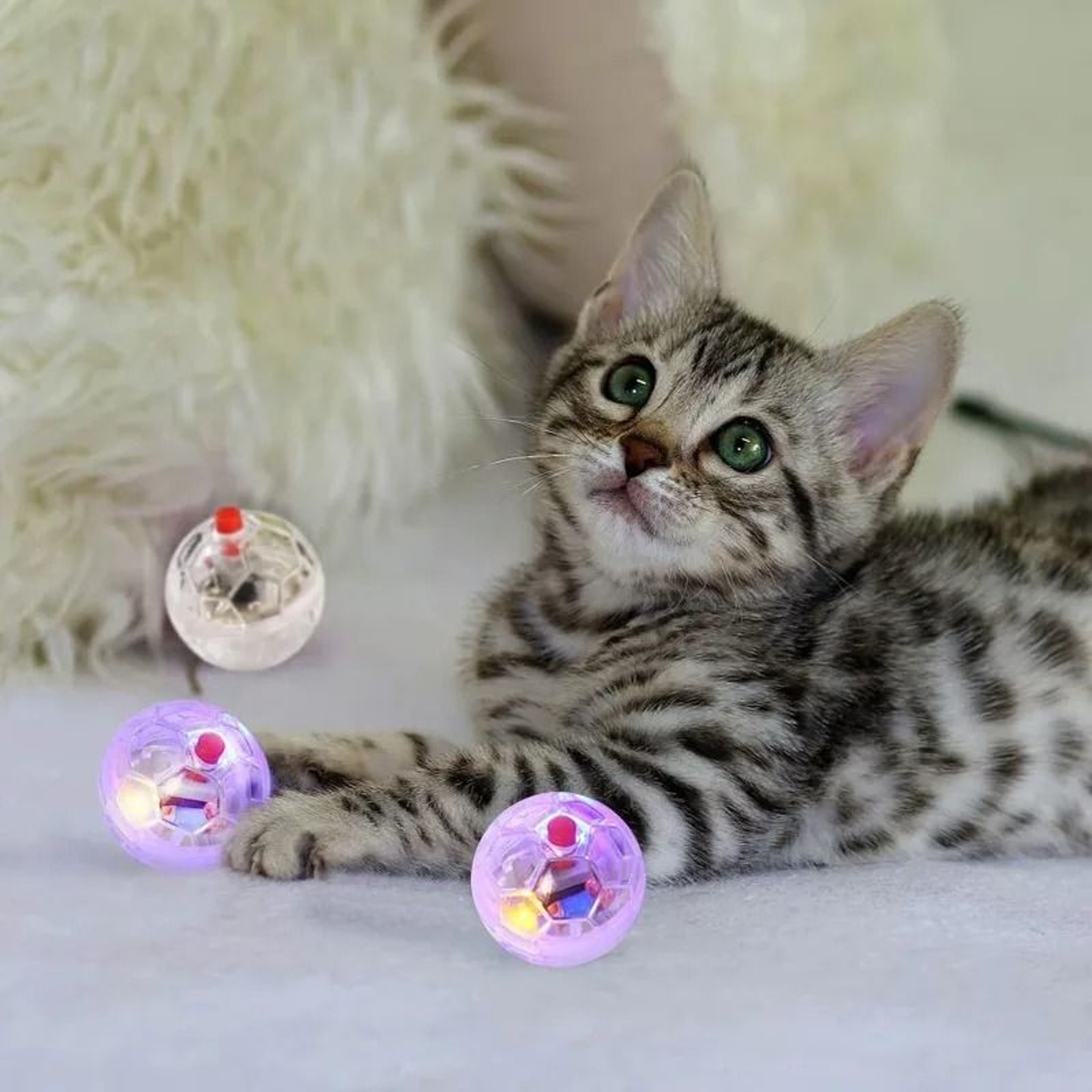 Touch Activated LED Cat Ball Toy For Kitten Puppy Exercise And Play 5