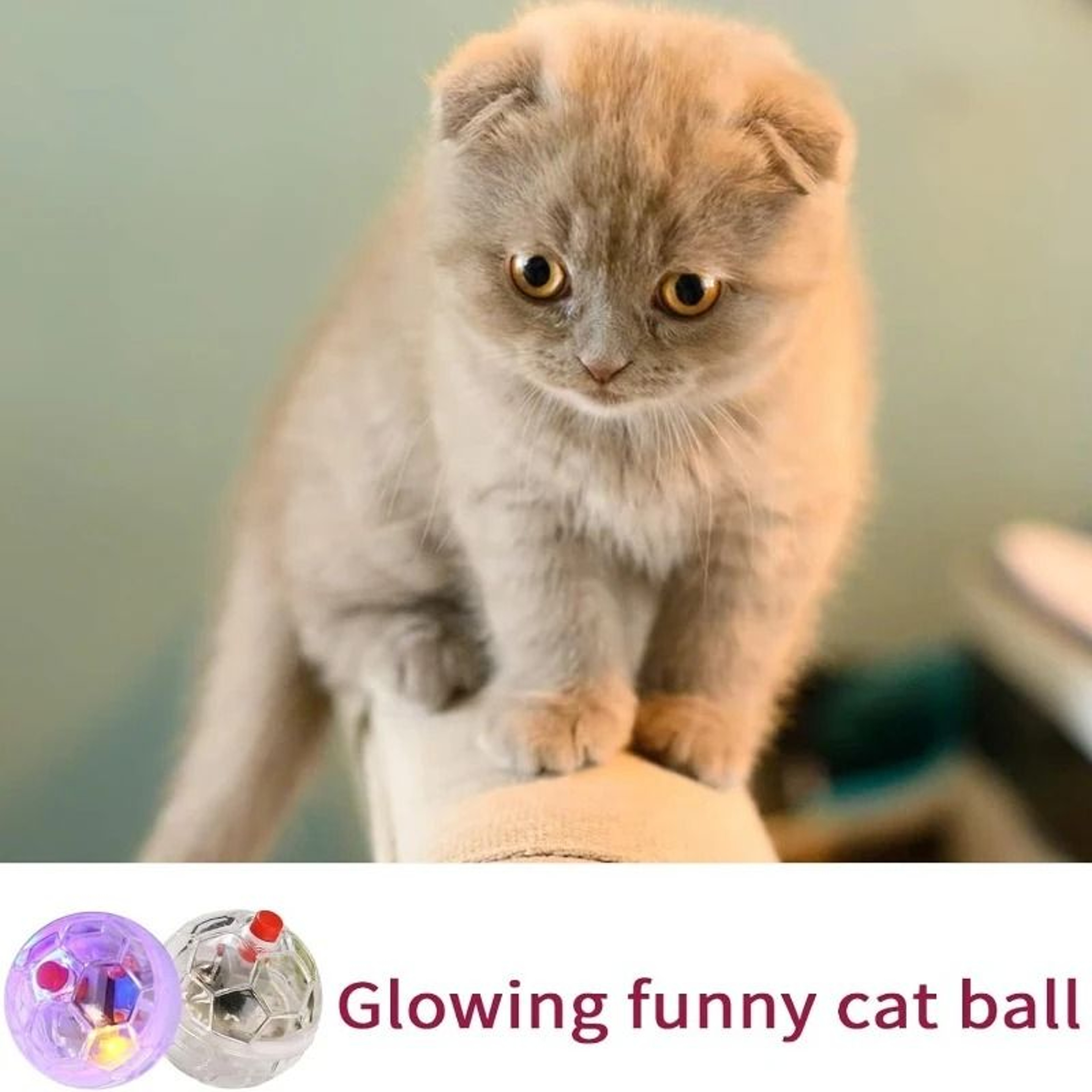 Touch Activated LED Cat Ball Toy For Kitten Puppy Exercise And Play 7
