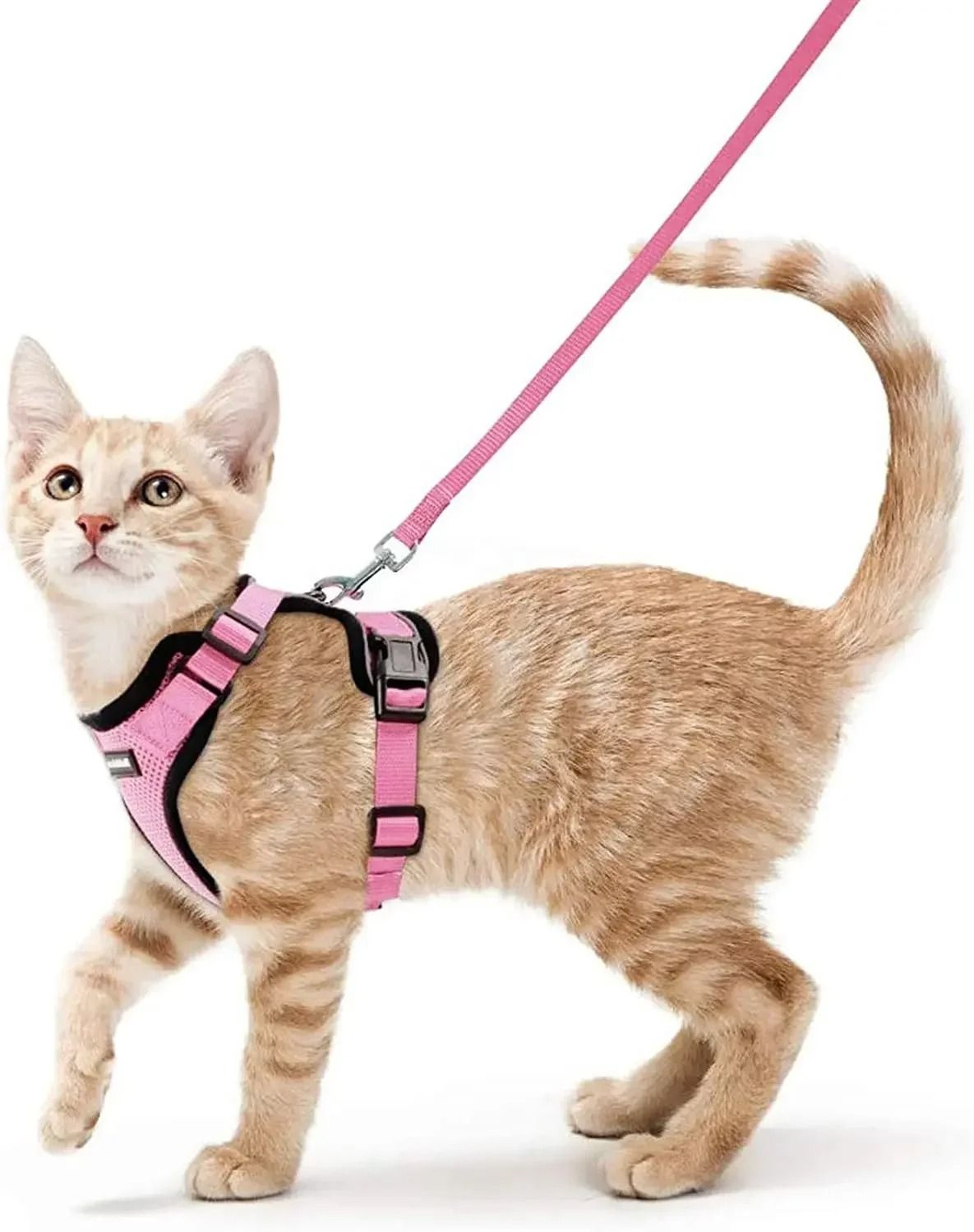 Escape Proof Cat Harness And Leash Soft Adjustable Reflective Vest For Safe Outdoor Walking 8