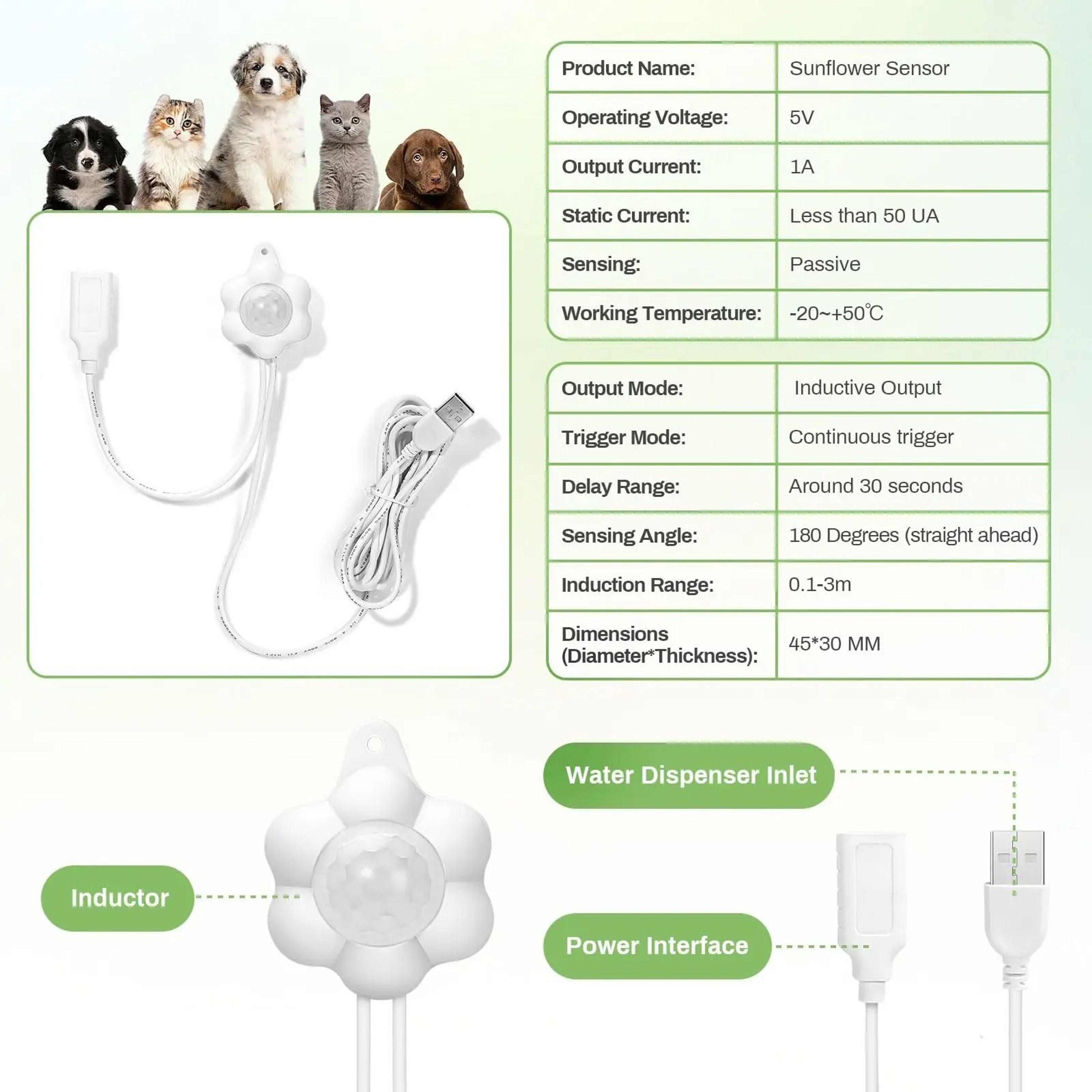 Motion Sensor Pet Water Fountain For Cats And Dogs 6