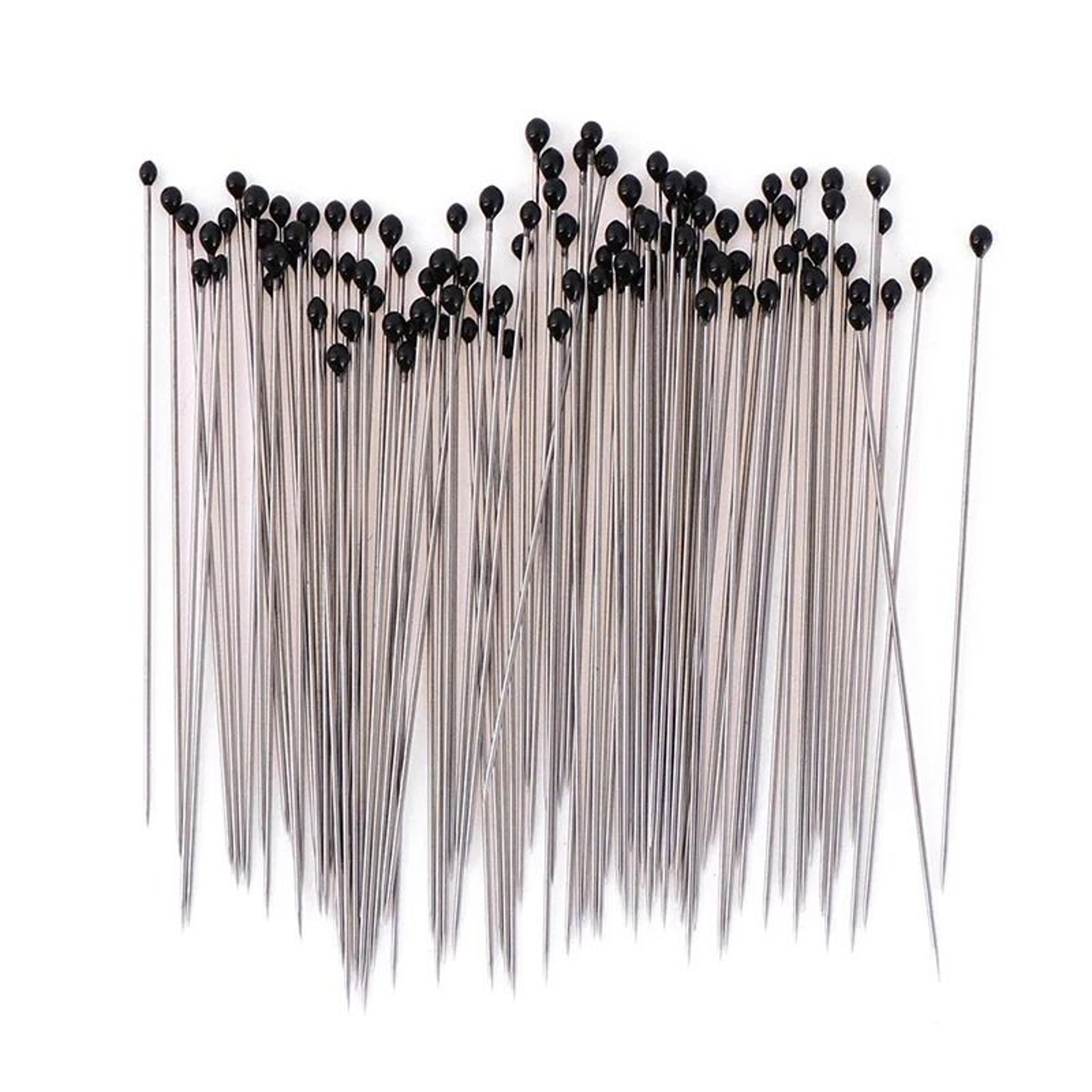 Stainless Steel Entomology Insect Pins 100 Piece Set 0