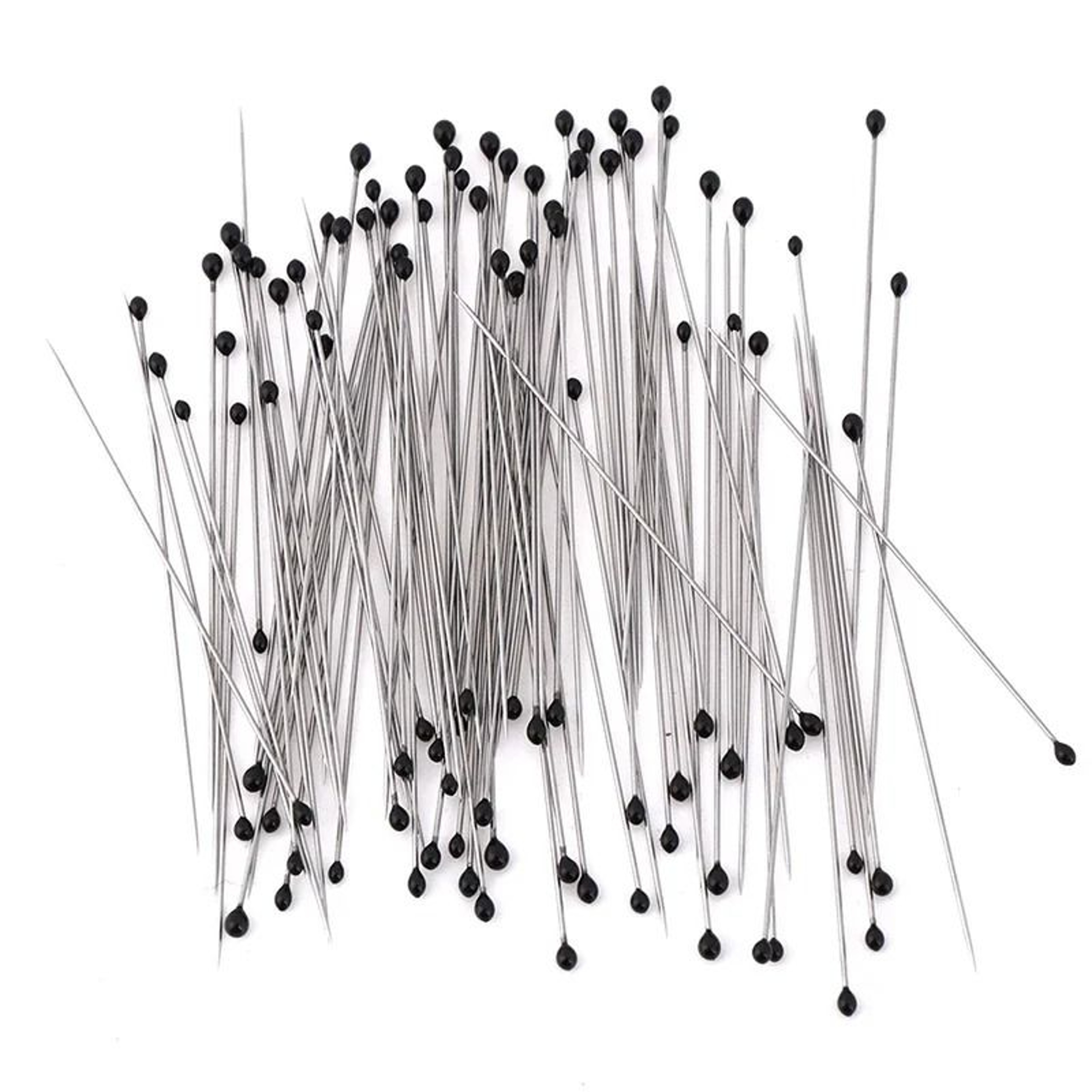 Stainless Steel Entomology Insect Pins 100 Piece Set 6