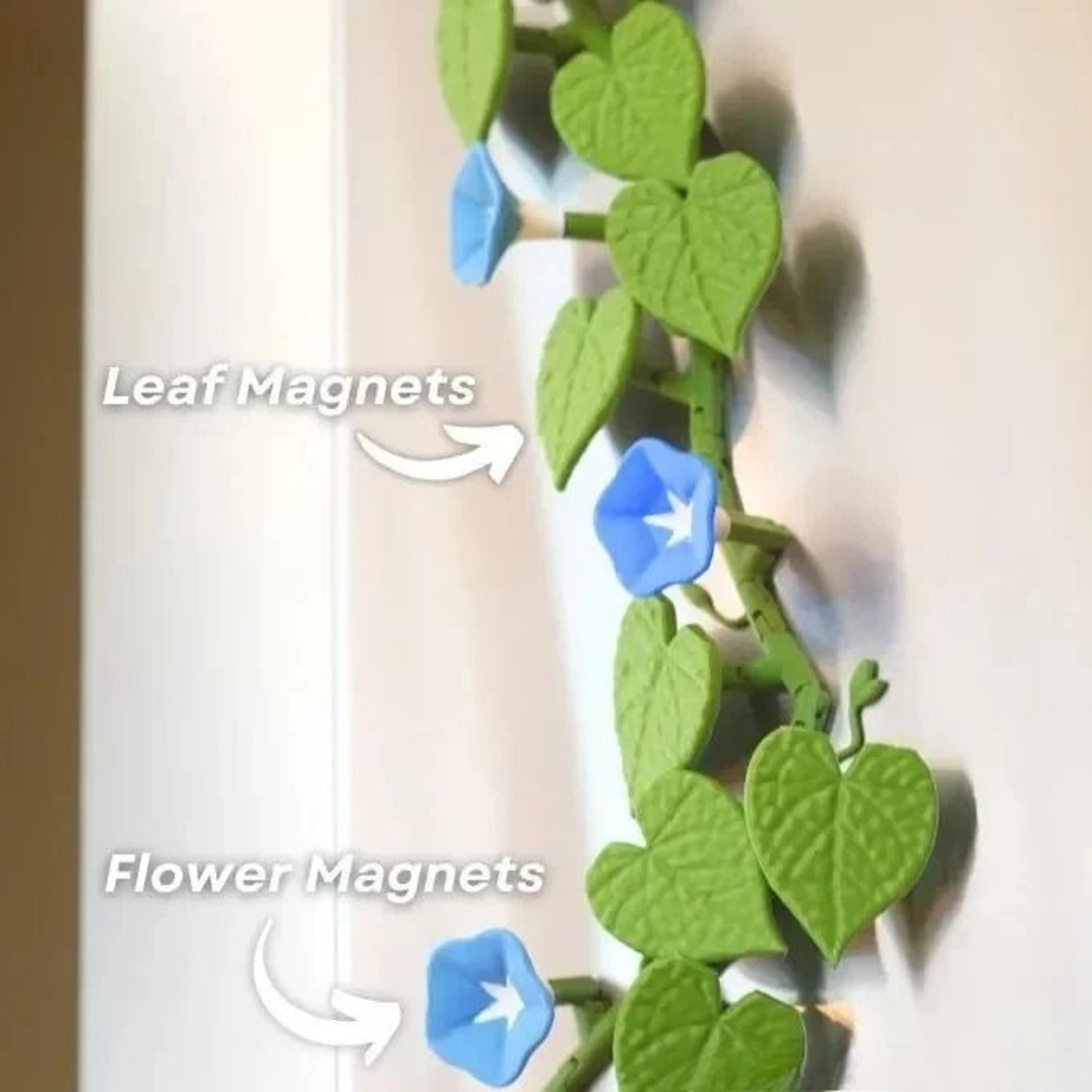 BloomVine 3D Morning Glory Fridge Magnets 8