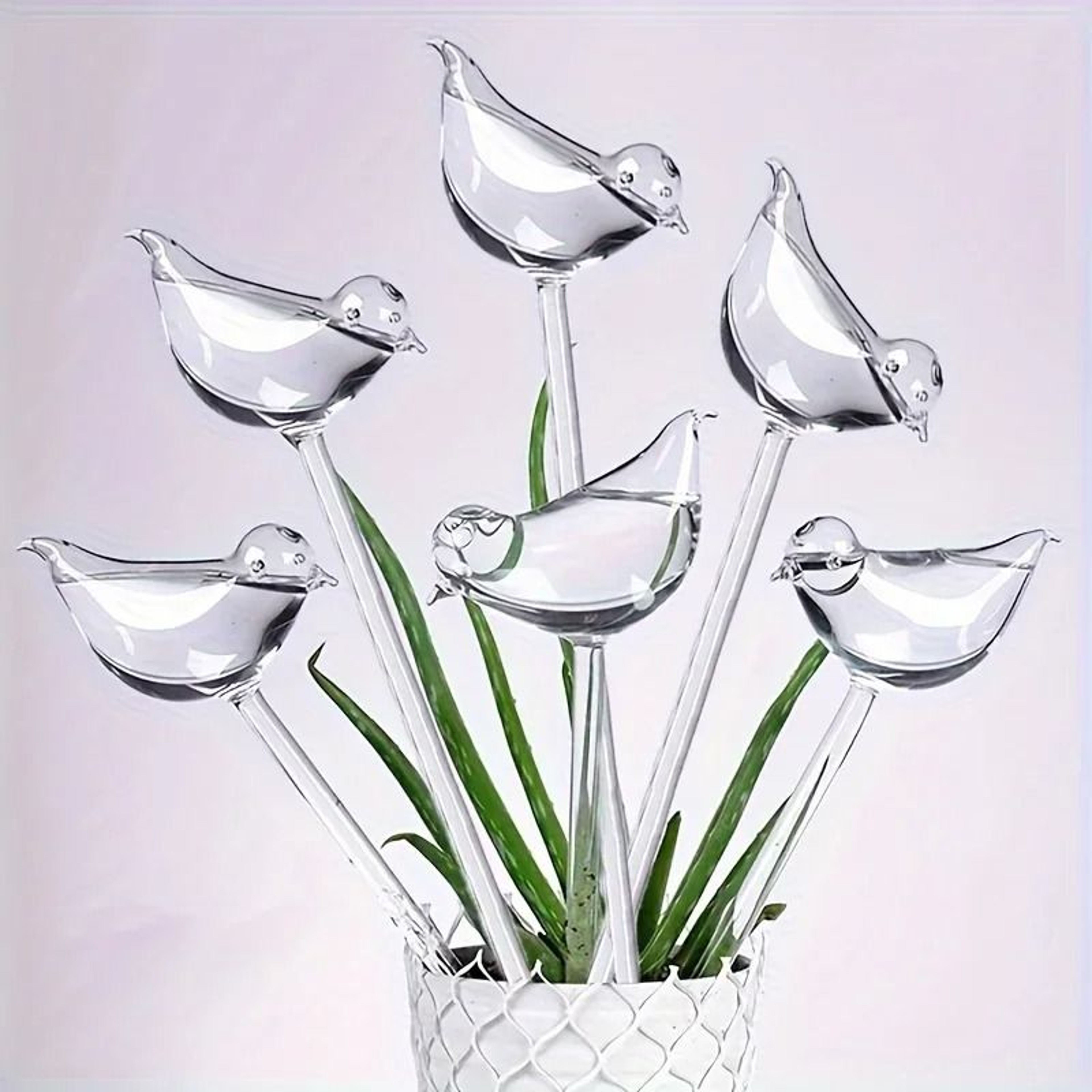 Bird Shape Automatic Plant Waterer And Self Watering Spikes 0
