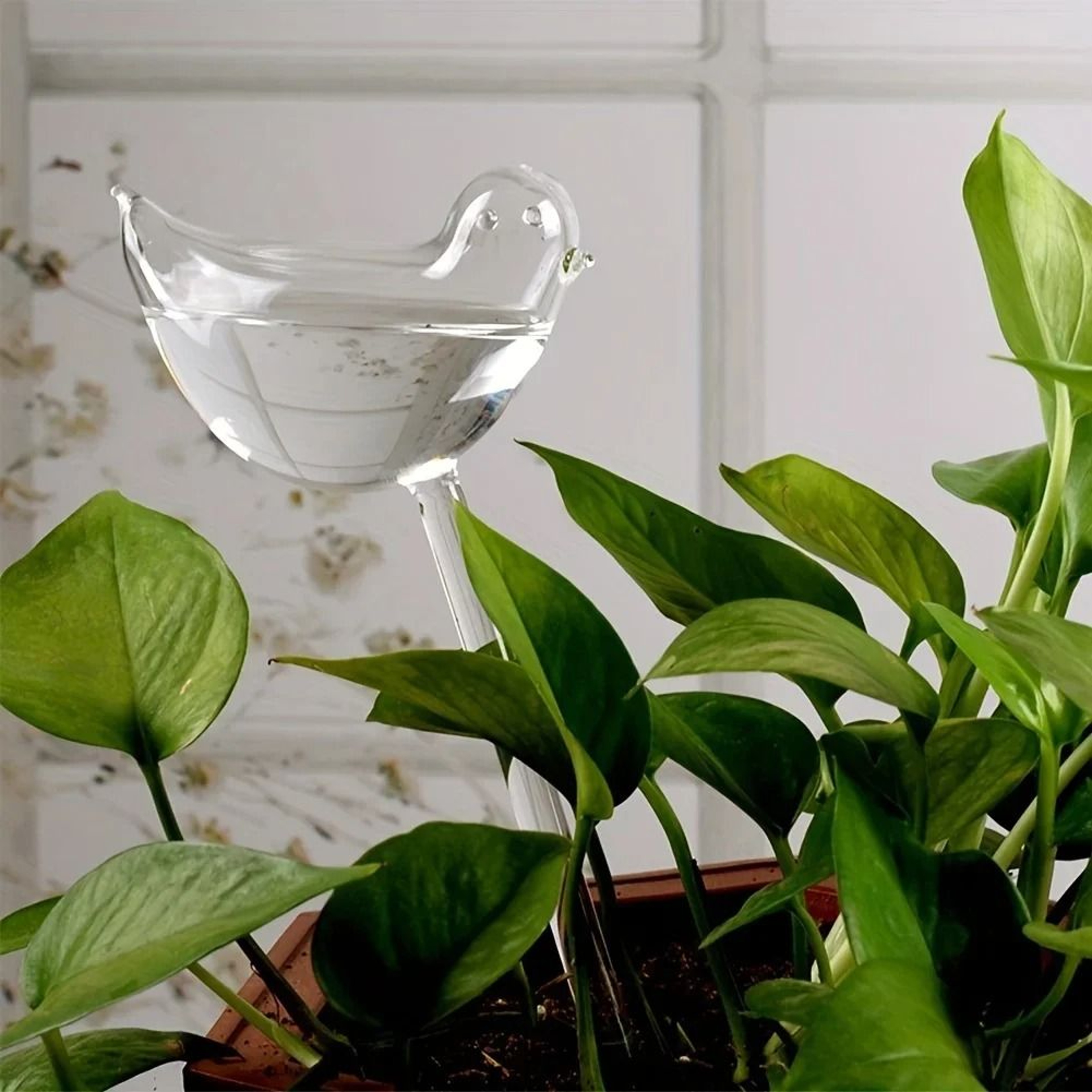 Bird Shape Automatic Plant Waterer And Self Watering Spikes 6