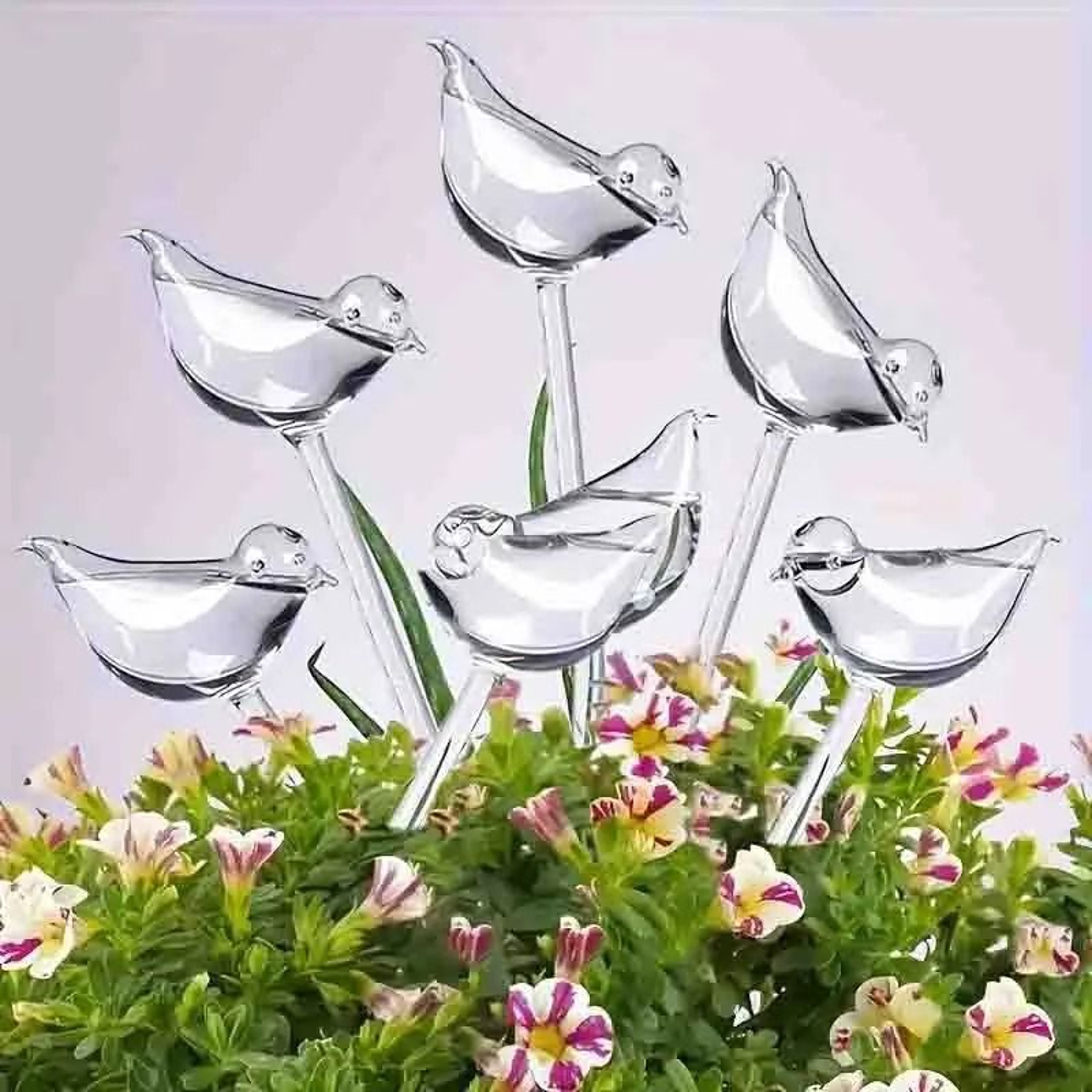 Bird Shape Automatic Plant Waterer And Self Watering Spikes 5