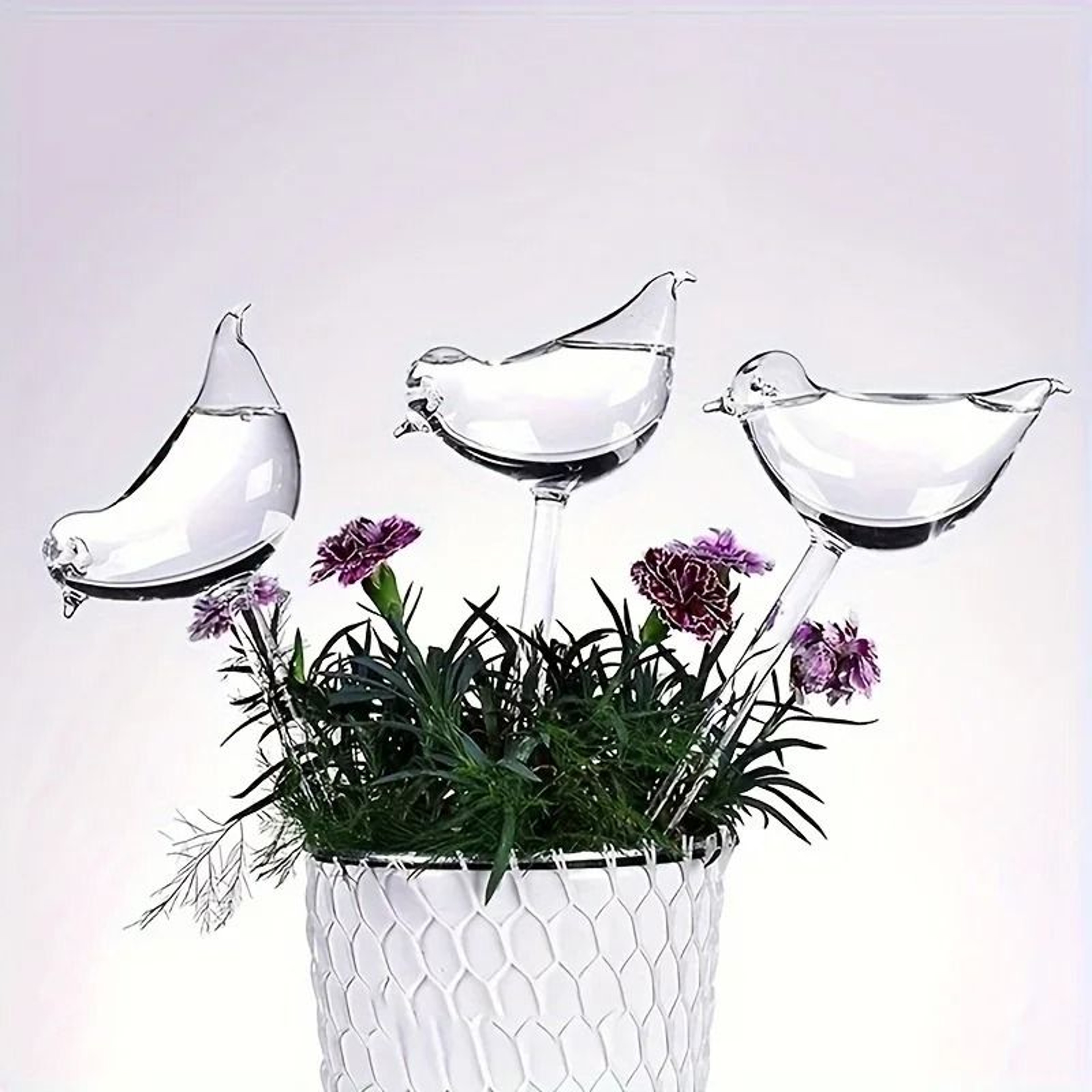 Bird Shape Automatic Plant Waterer And Self Watering Spikes 4
