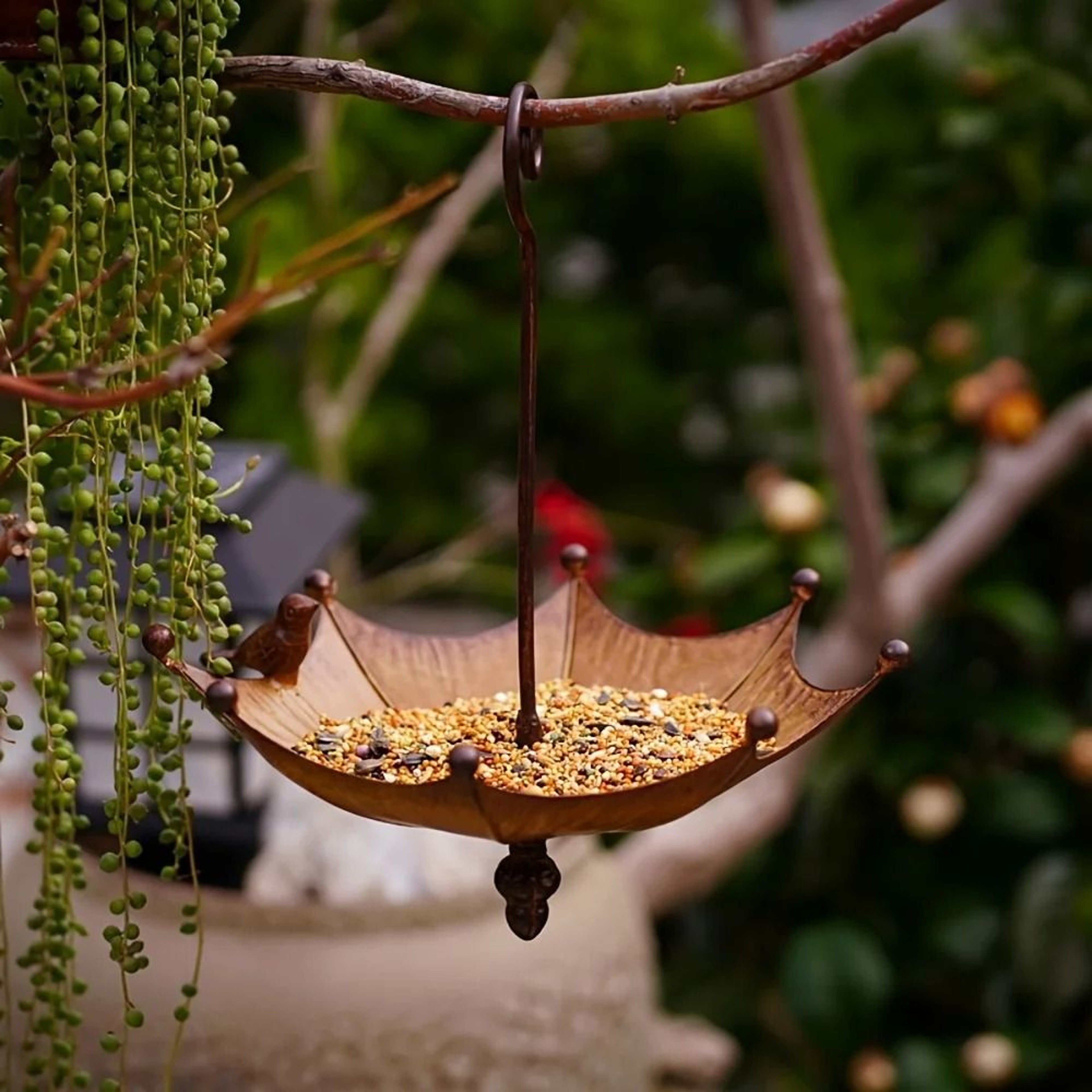 Umbrella Hanging Bird Feeder And Bird Bath 4
