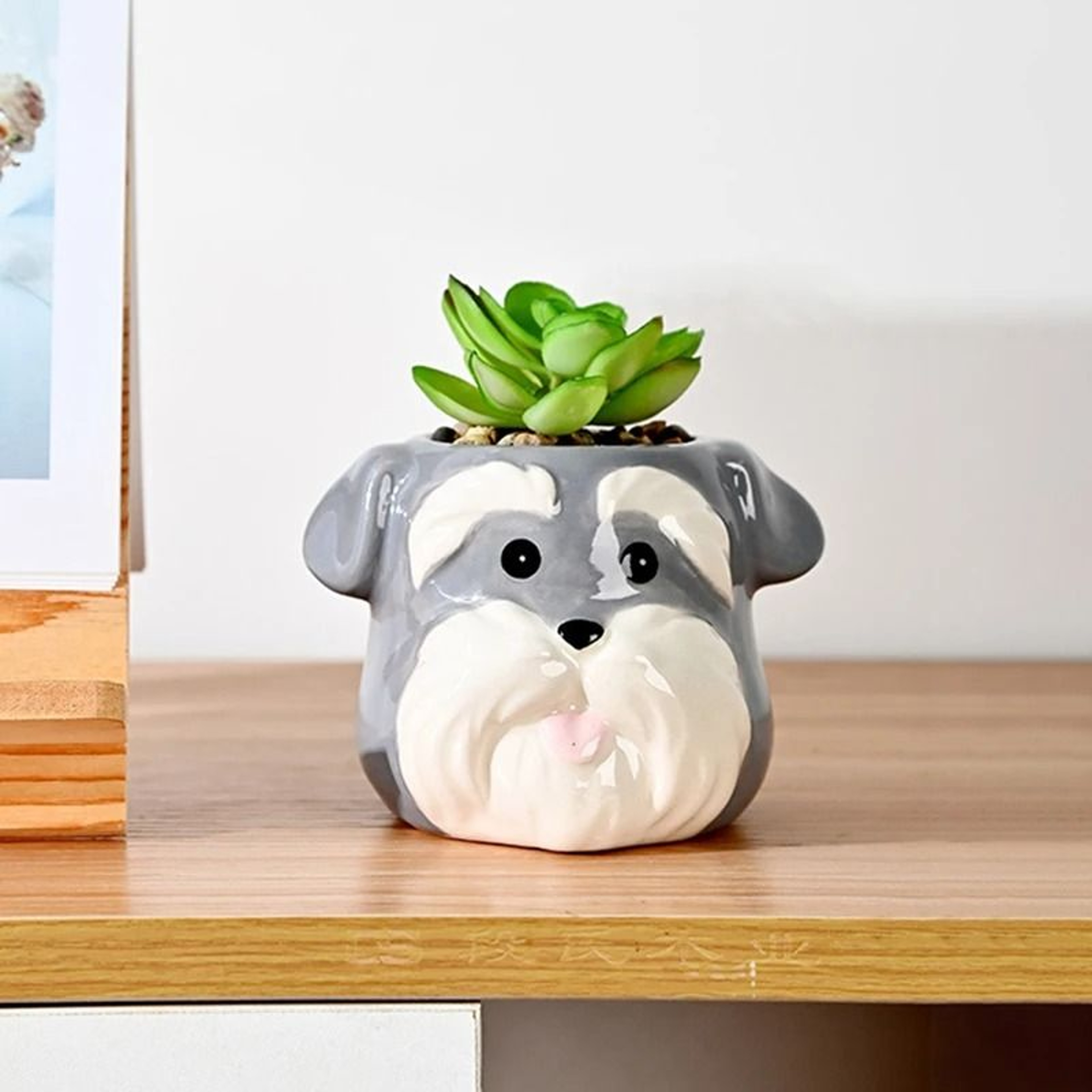 Cute Ceramic Animal Succulent Planter For Home Office Table Garden Decoration Display 5