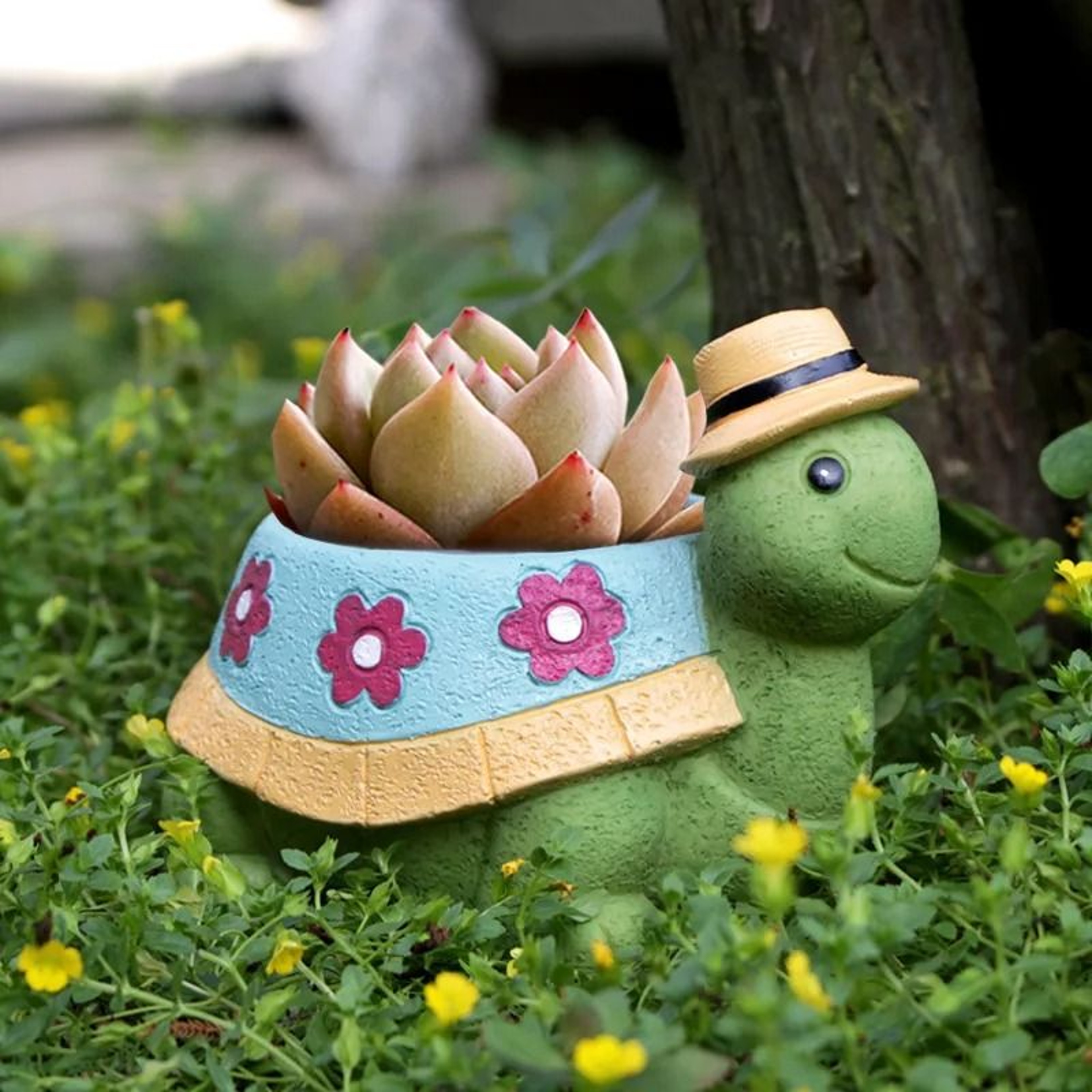 Cute Turtle Succulent Planter For Desktop Home Office And Garden Decoration Display 4