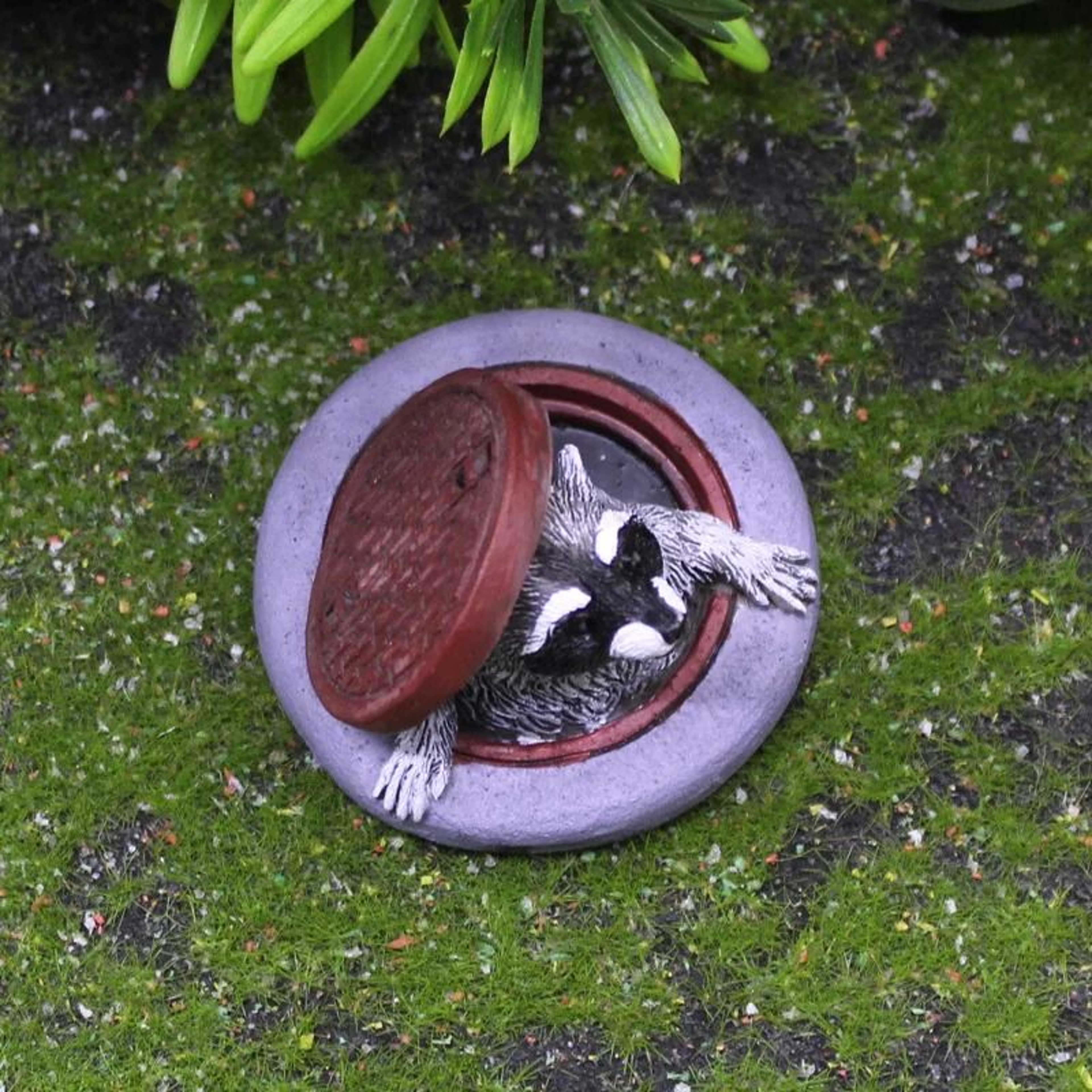 Cute Resin Raccoon Garden Statue For Bonsai Desk And Outdoor Decor 4