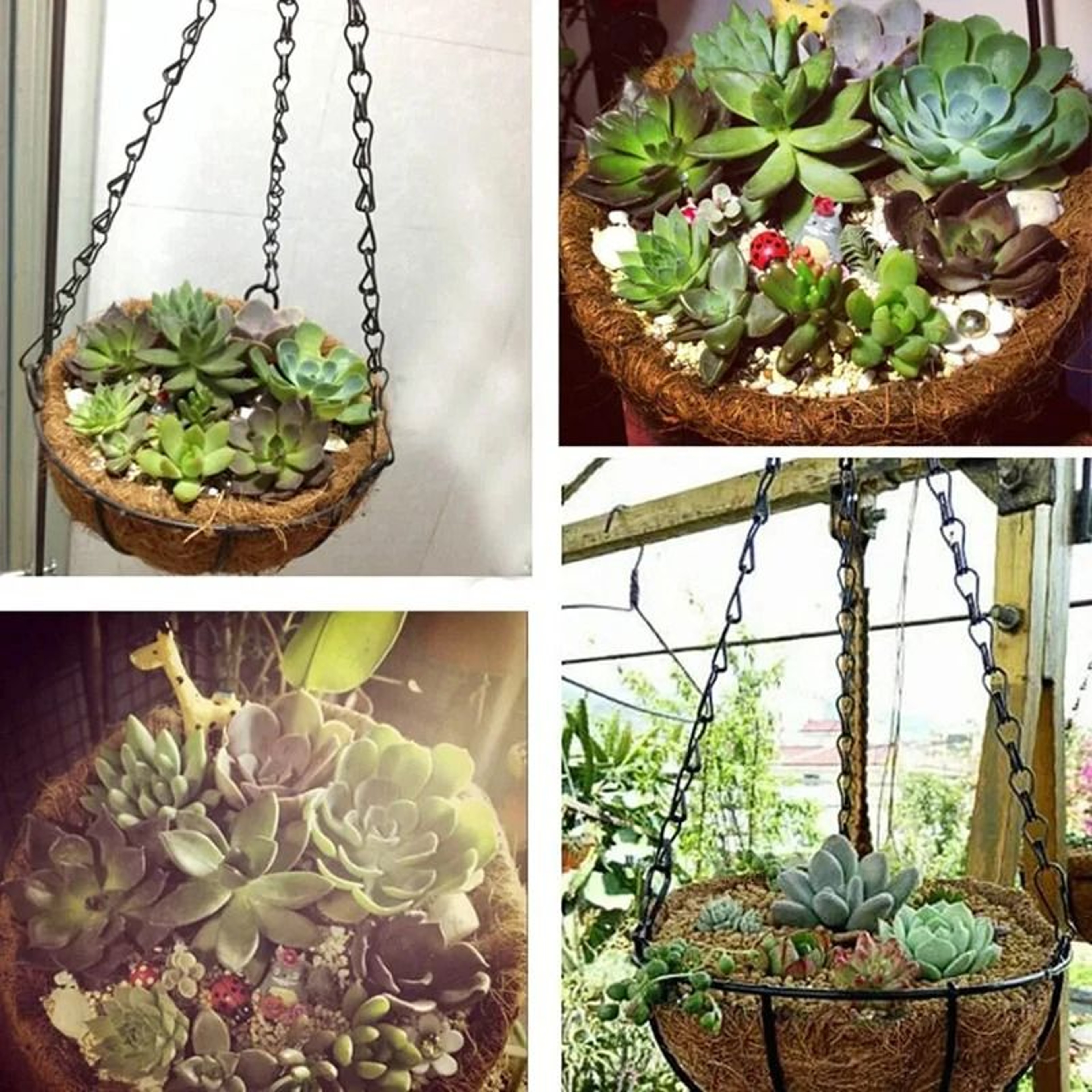 Coconut Style Hanging Planter Basket With Iron Chain 5