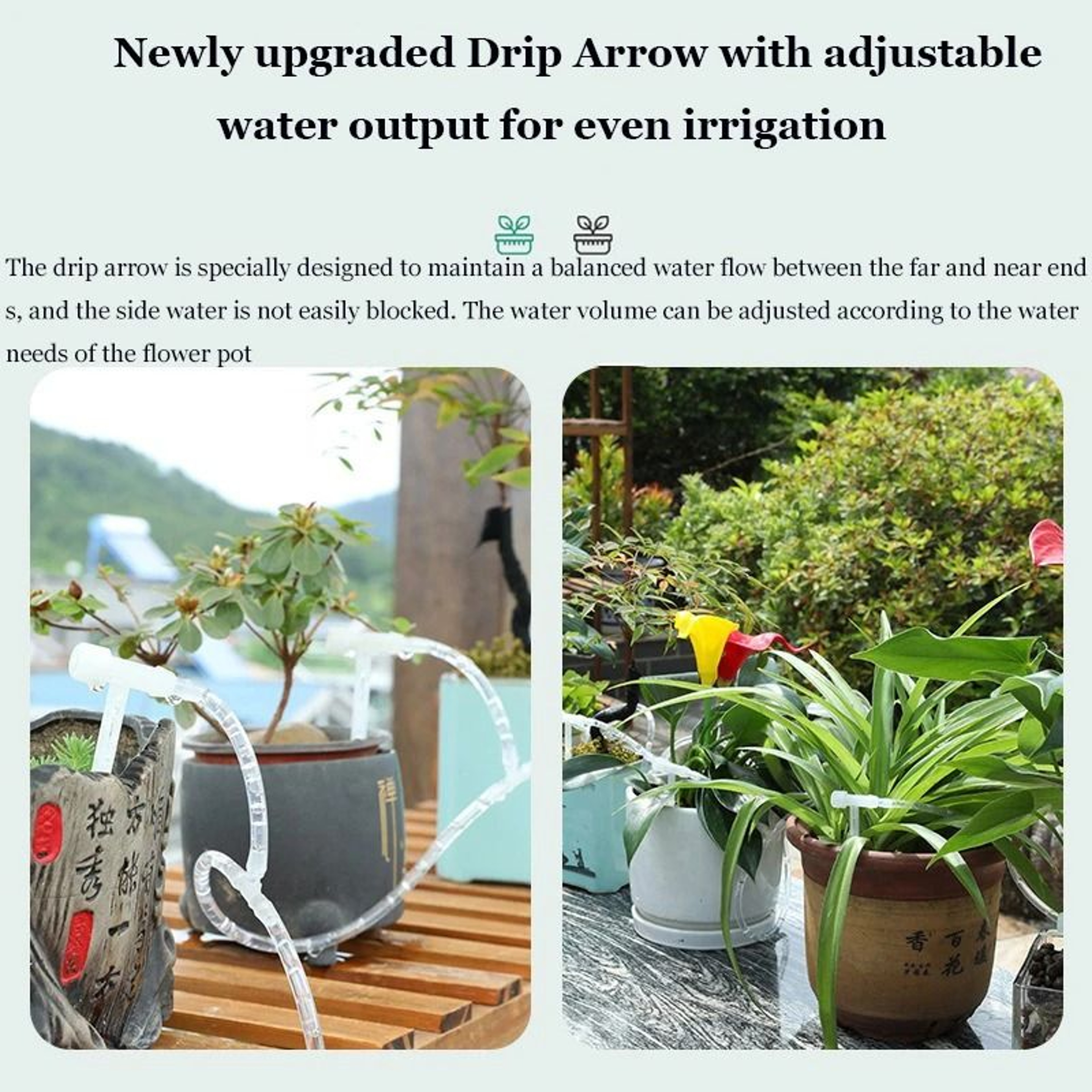 Solar Dual Pump Automatic Drip Irrigation System With Timer 5