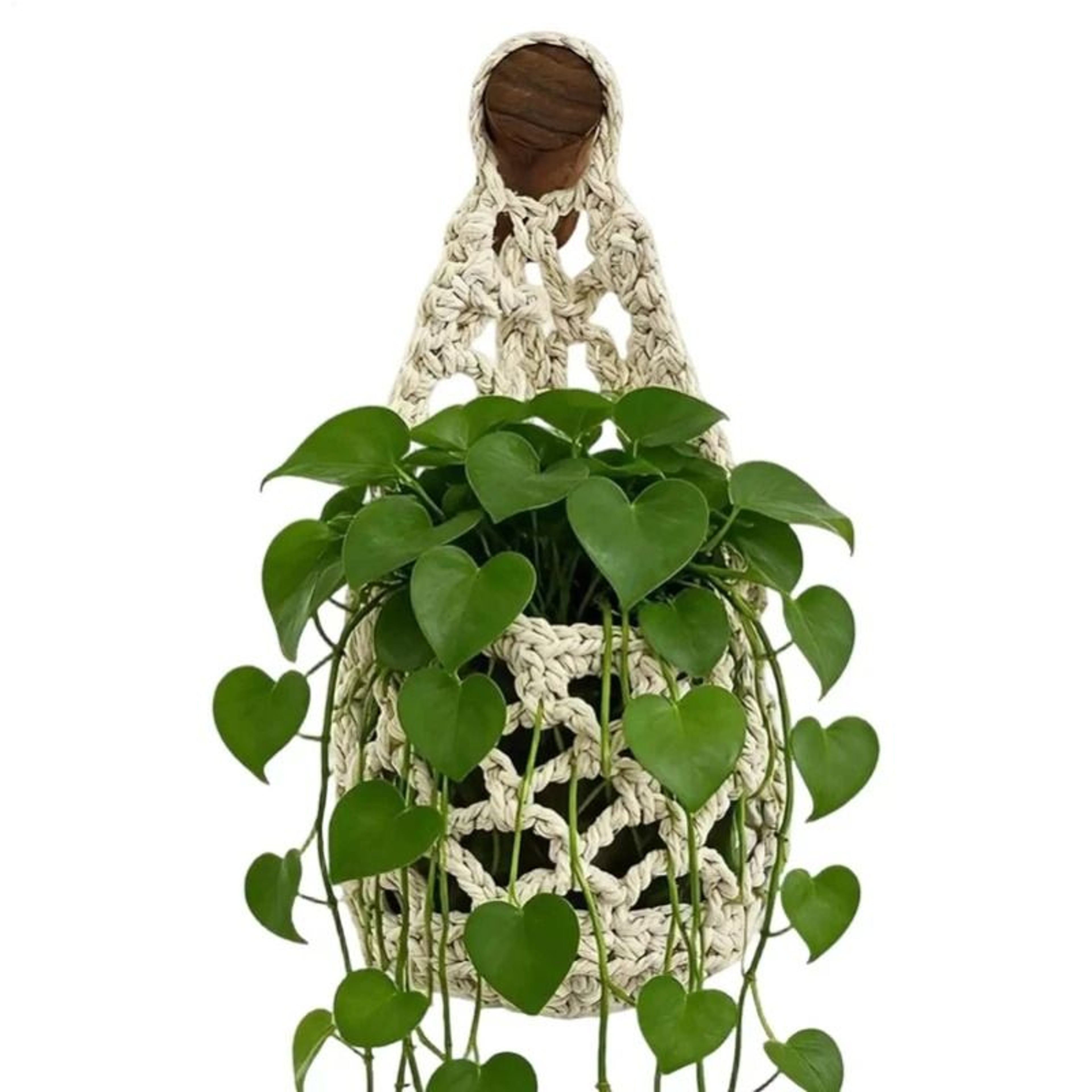 Boho Macrame Plant Hanger And Woven Hanging Storage Basket 3