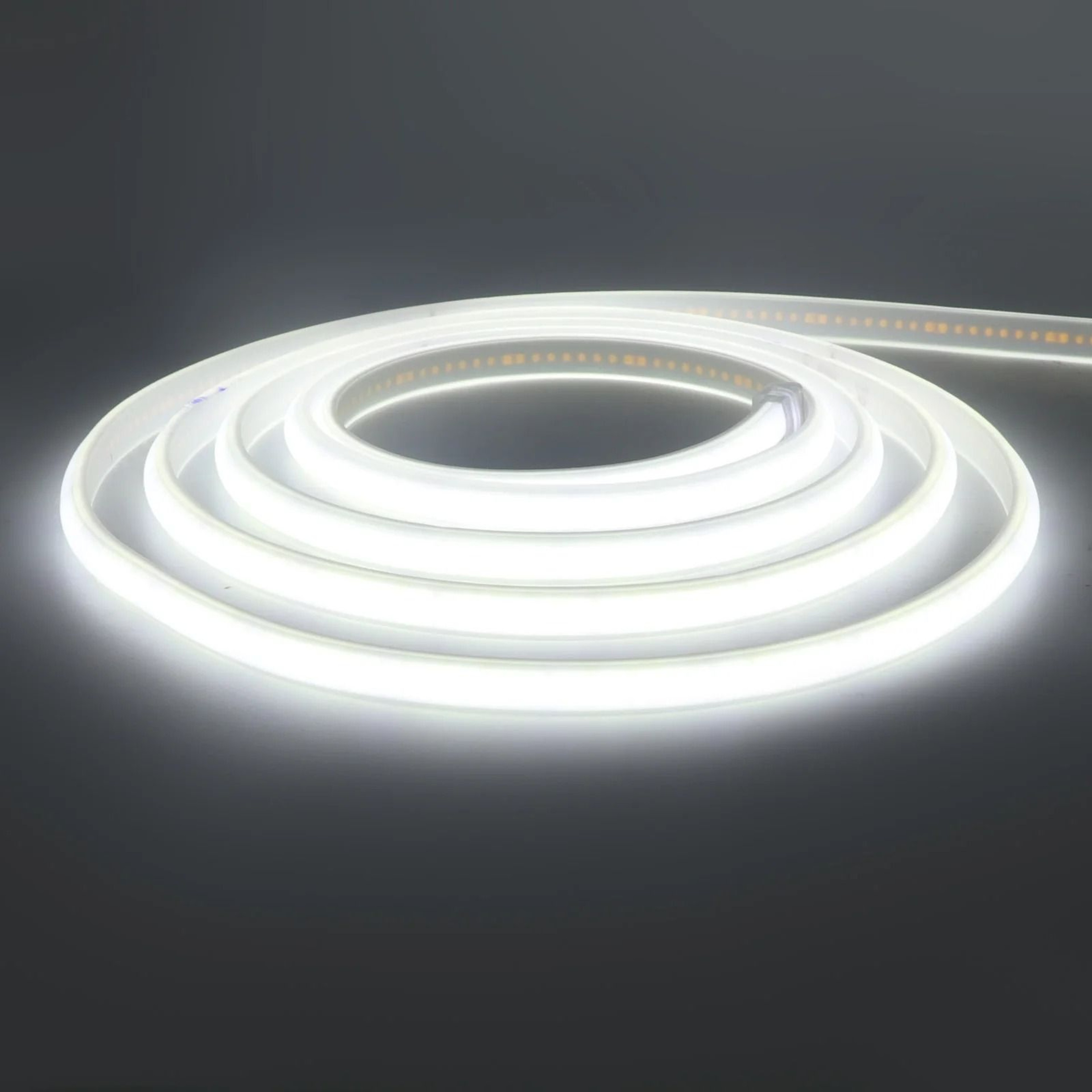 220V Waterproof COB LED Strip Flexible Neon Ribbon Light 2