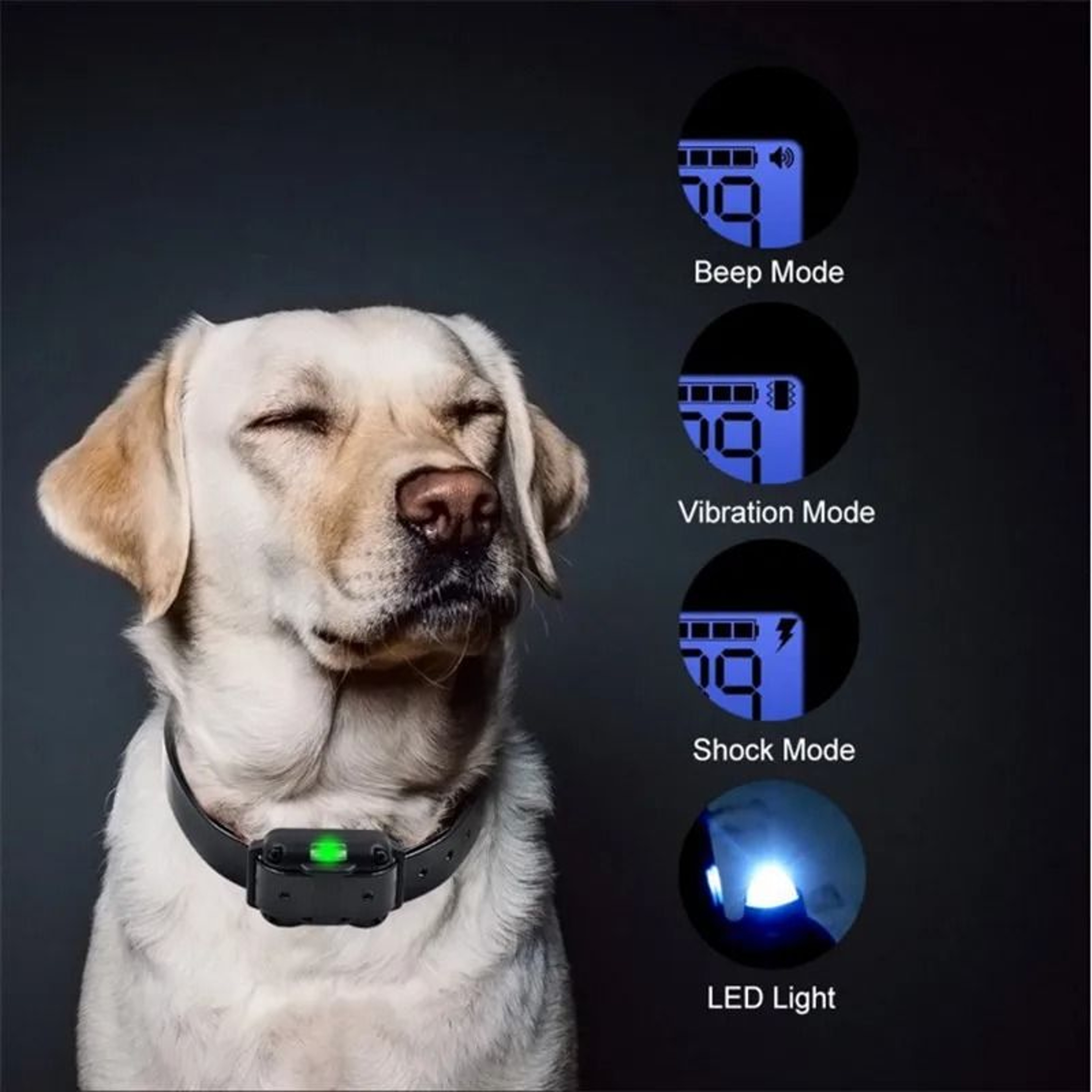 800m Waterproof Rechargeable Dog Training Collar With Remote Control 9
