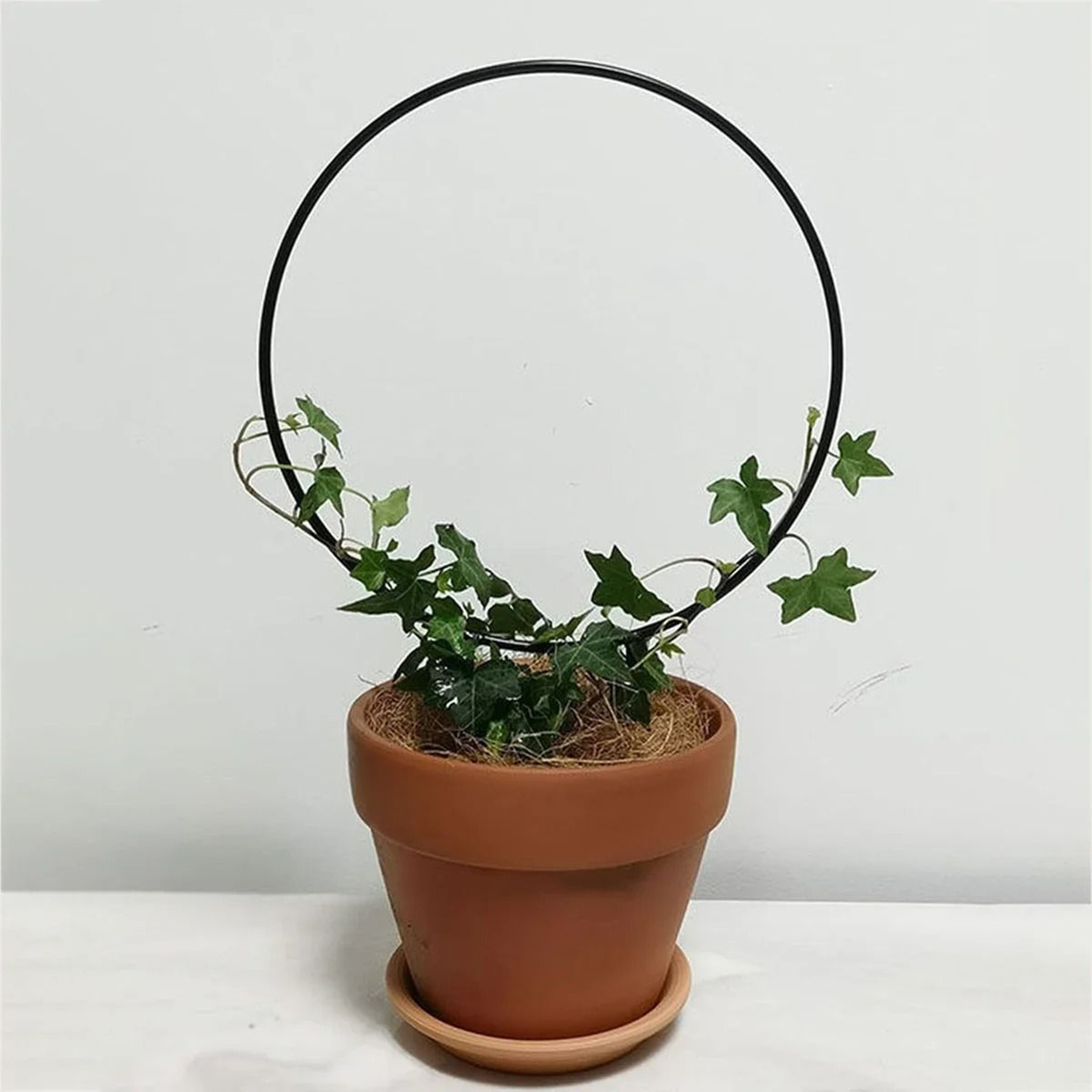 Black Metal Garden Trellis Rust Resistant Climbing Plant Support For Pots 9