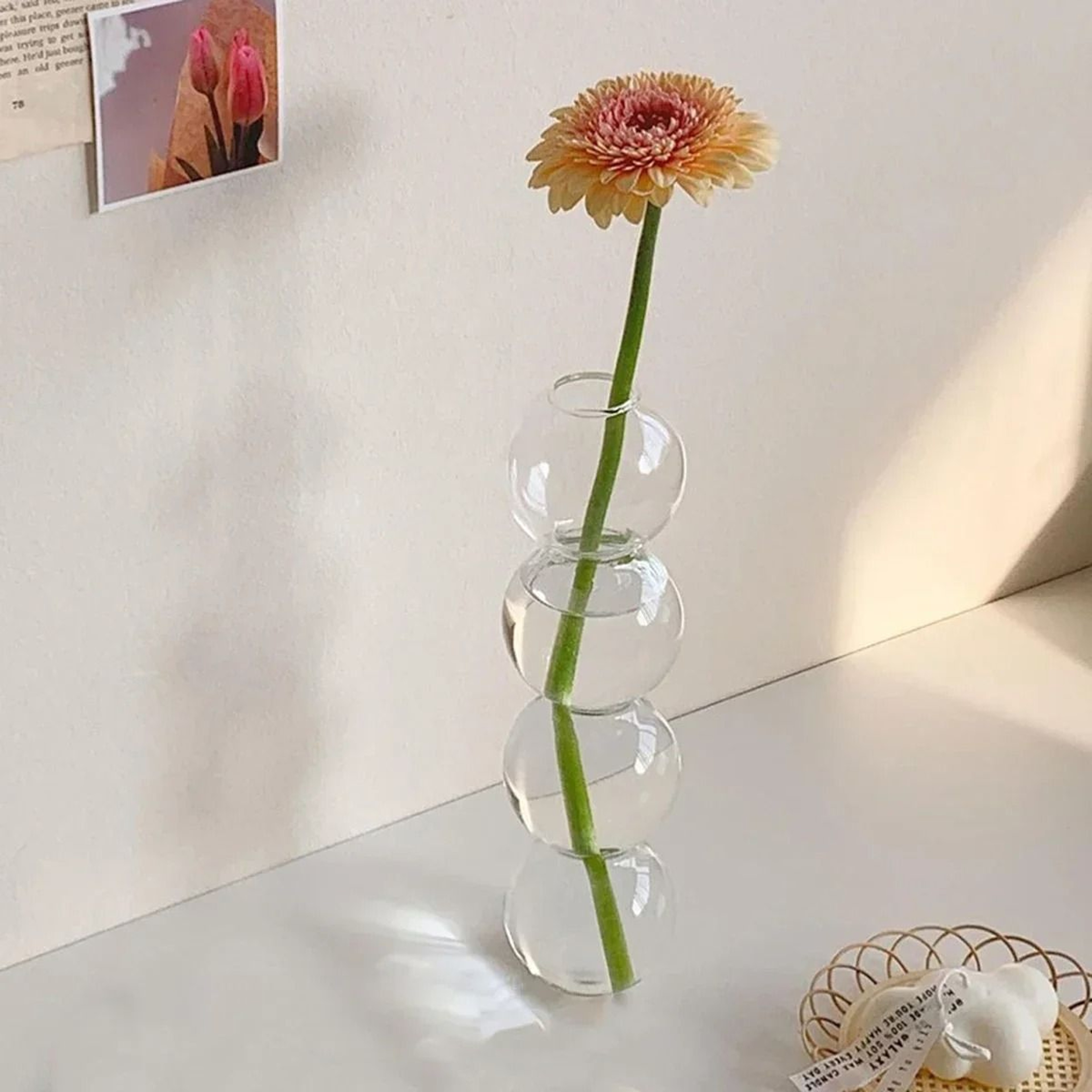 Colorful Glass Bubble Vase Creative Transparent Flower Holder For Modern Home Decor 3