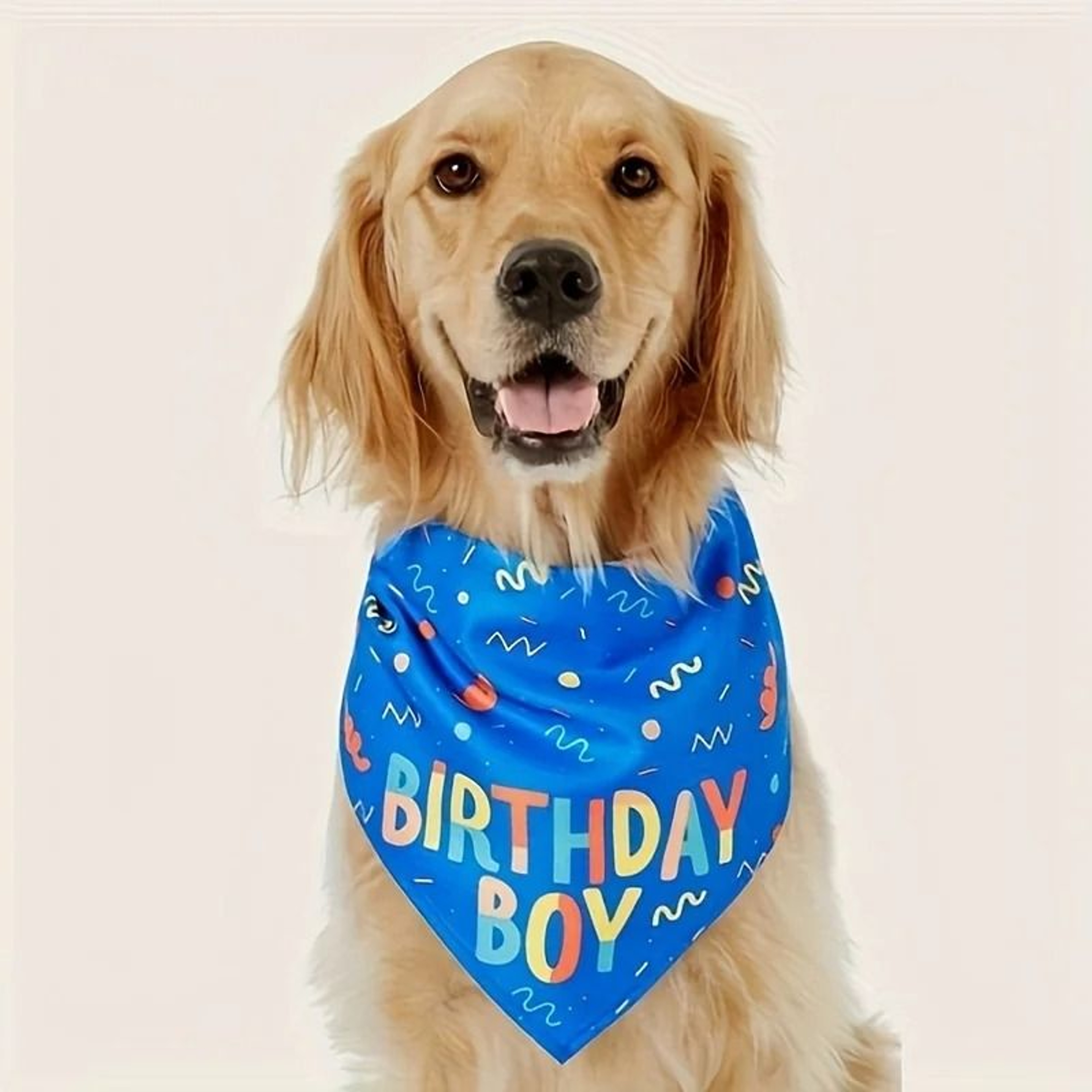 Cute Dog Birthday Bandana Bib Birthday Boy Girl Pet Party Scarf 1