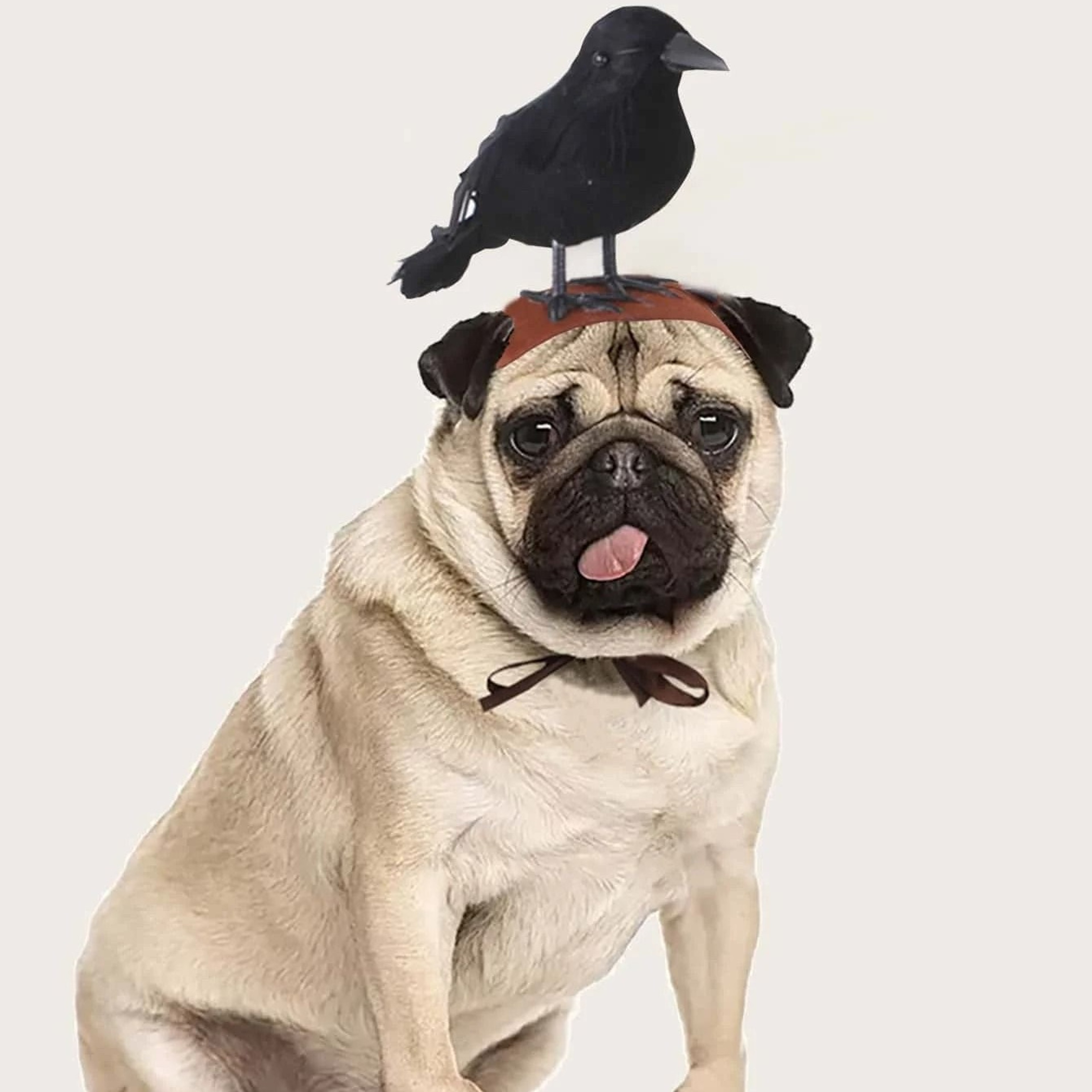 imagejpg