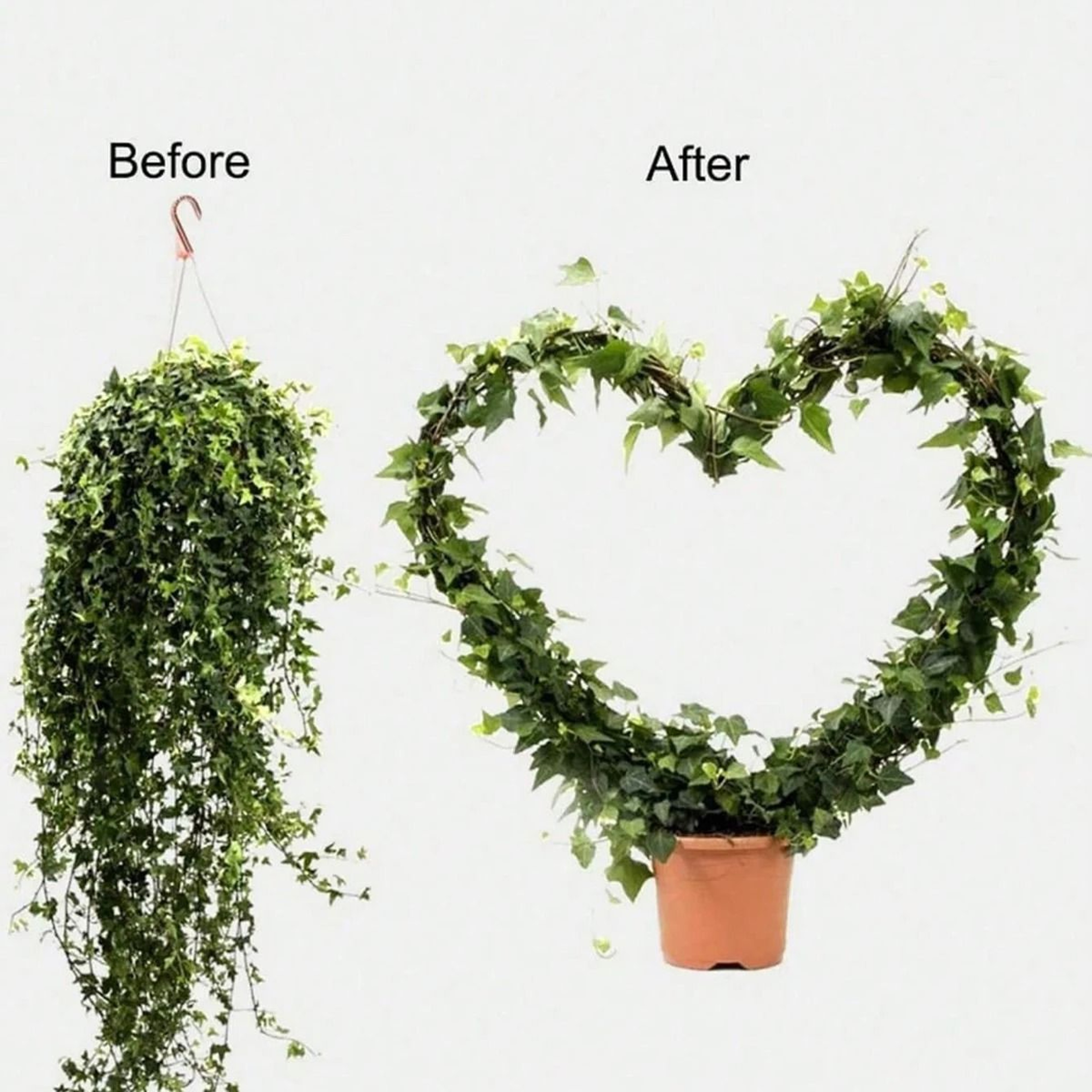 Heart Shaped Metal Garden Trellis Plant Support Frame For Climbing Vines And Flowers 4