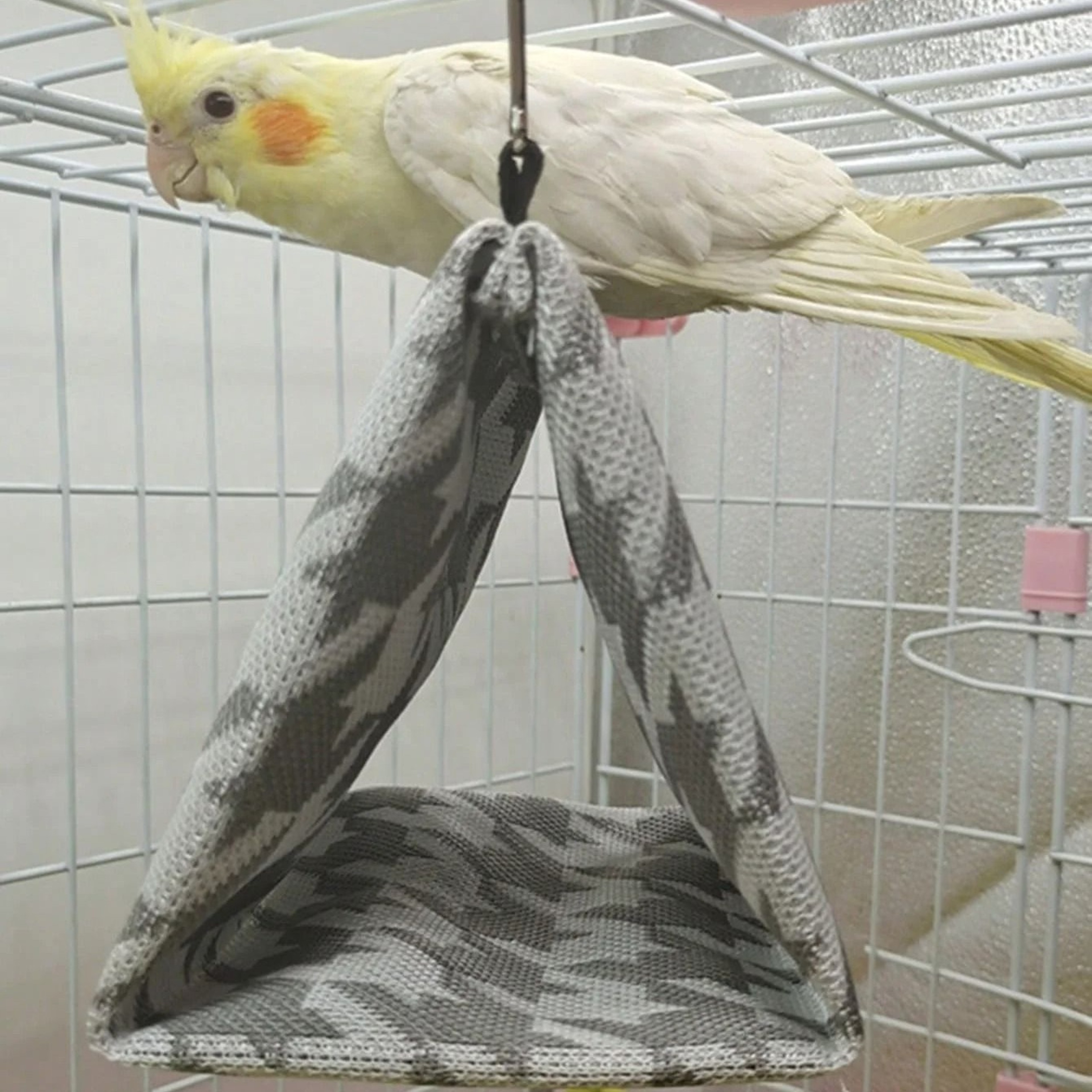 imagejpg