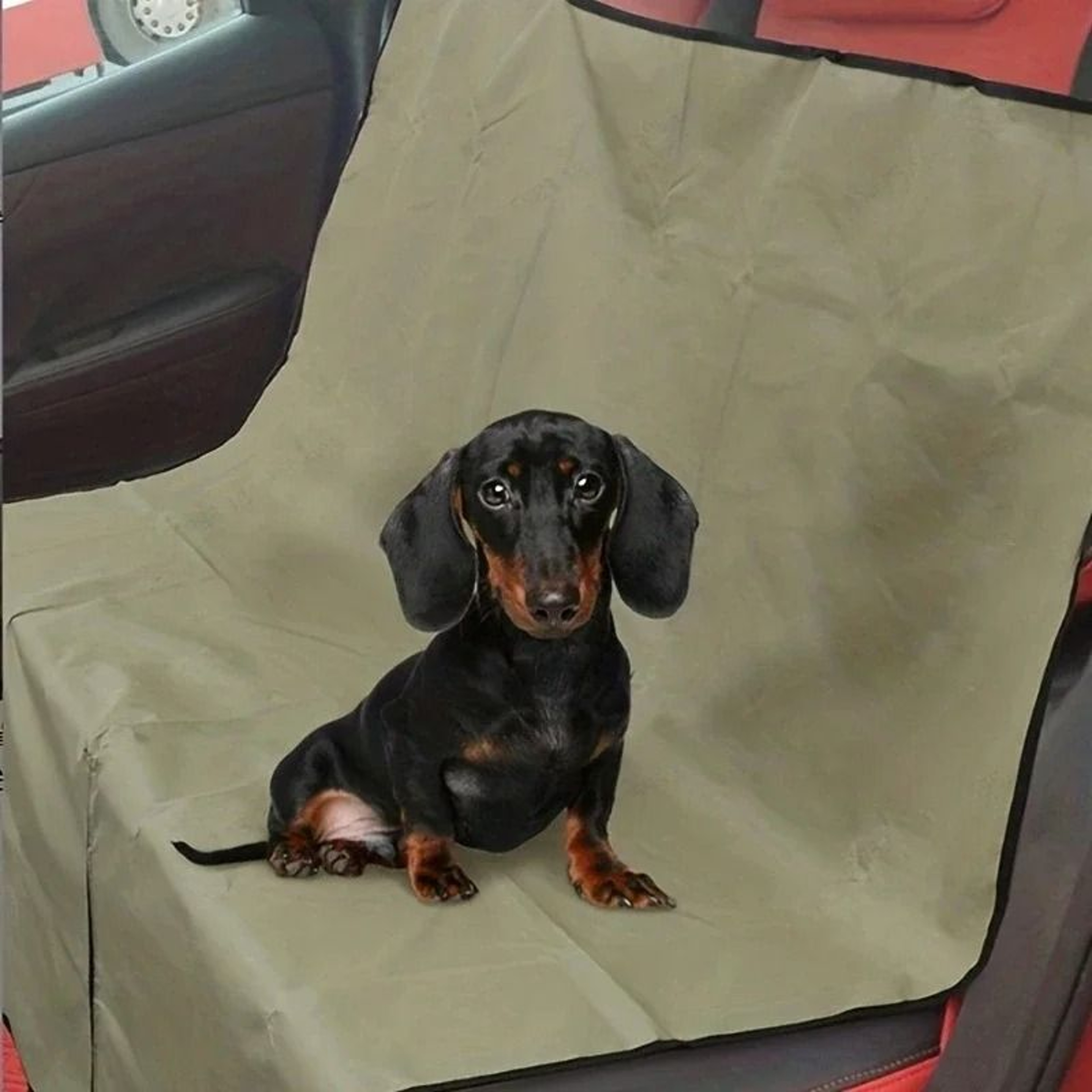 Car Trunk Pet Mat Protective Dog Blanket For Travel And Vehicle Storage 2