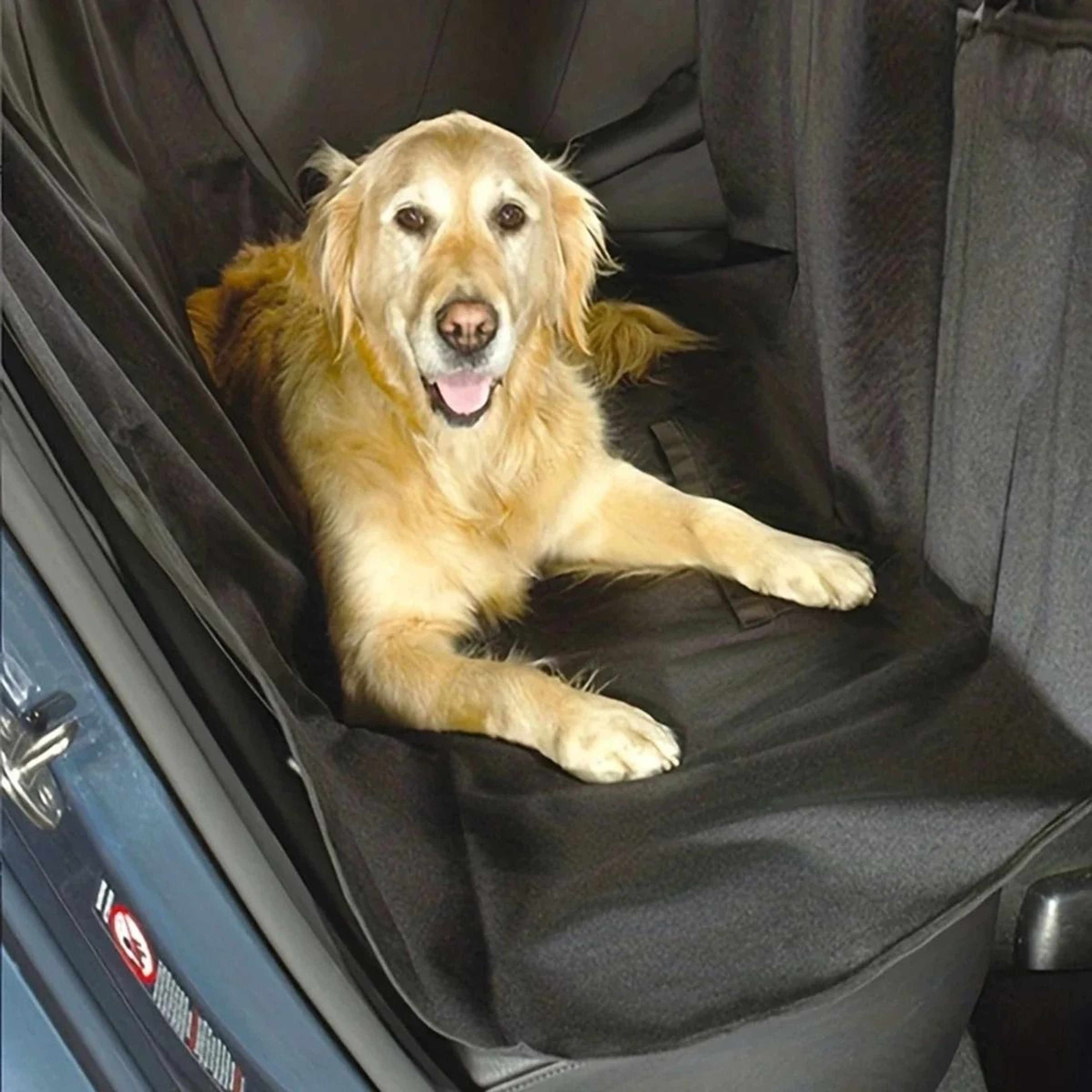 Car Trunk Pet Mat Protective Dog Blanket For Travel And Vehicle Storage 5