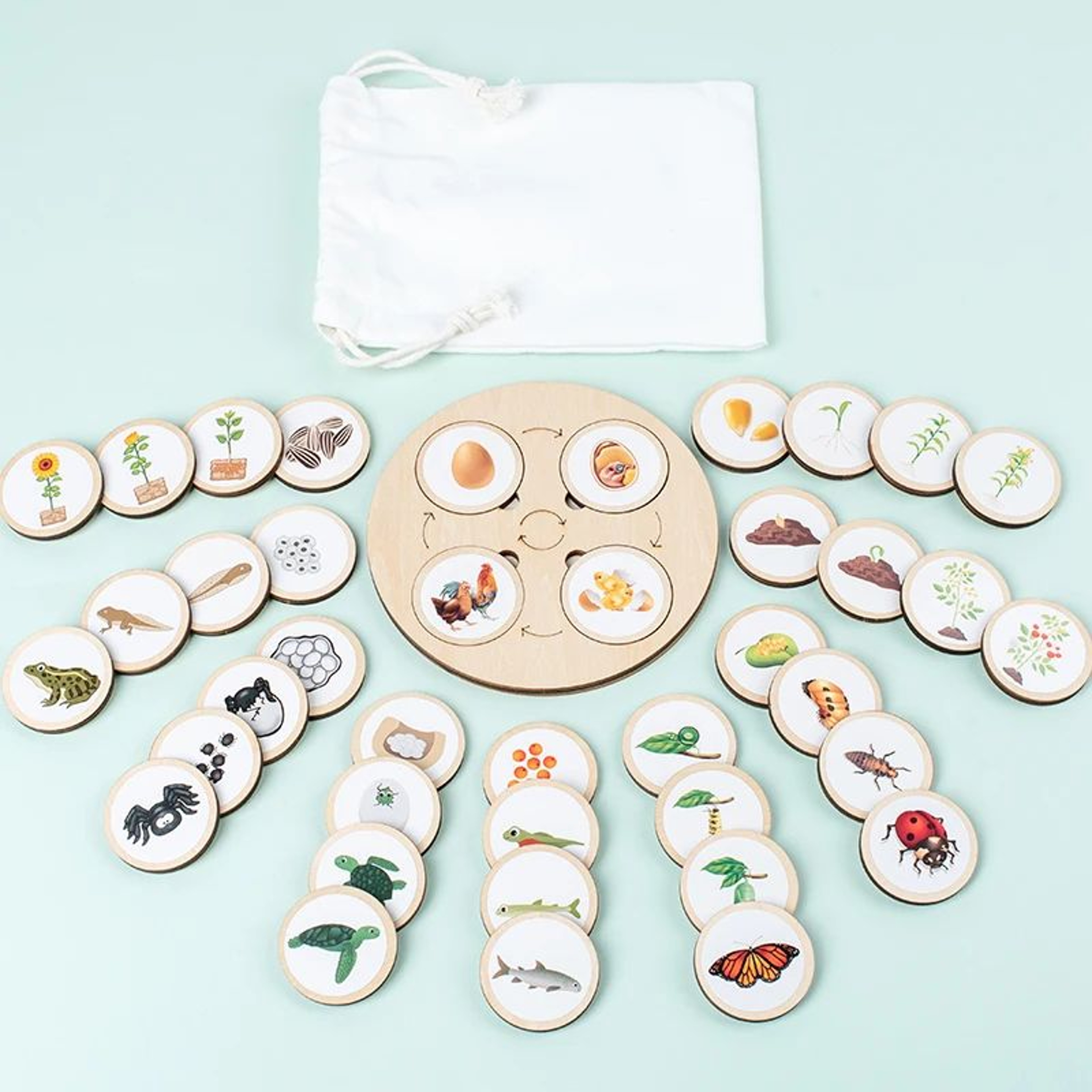 Montessori Life Cycle Board Kit  Wooden Montessori Learning Toy For Biology  Sensory Play 6