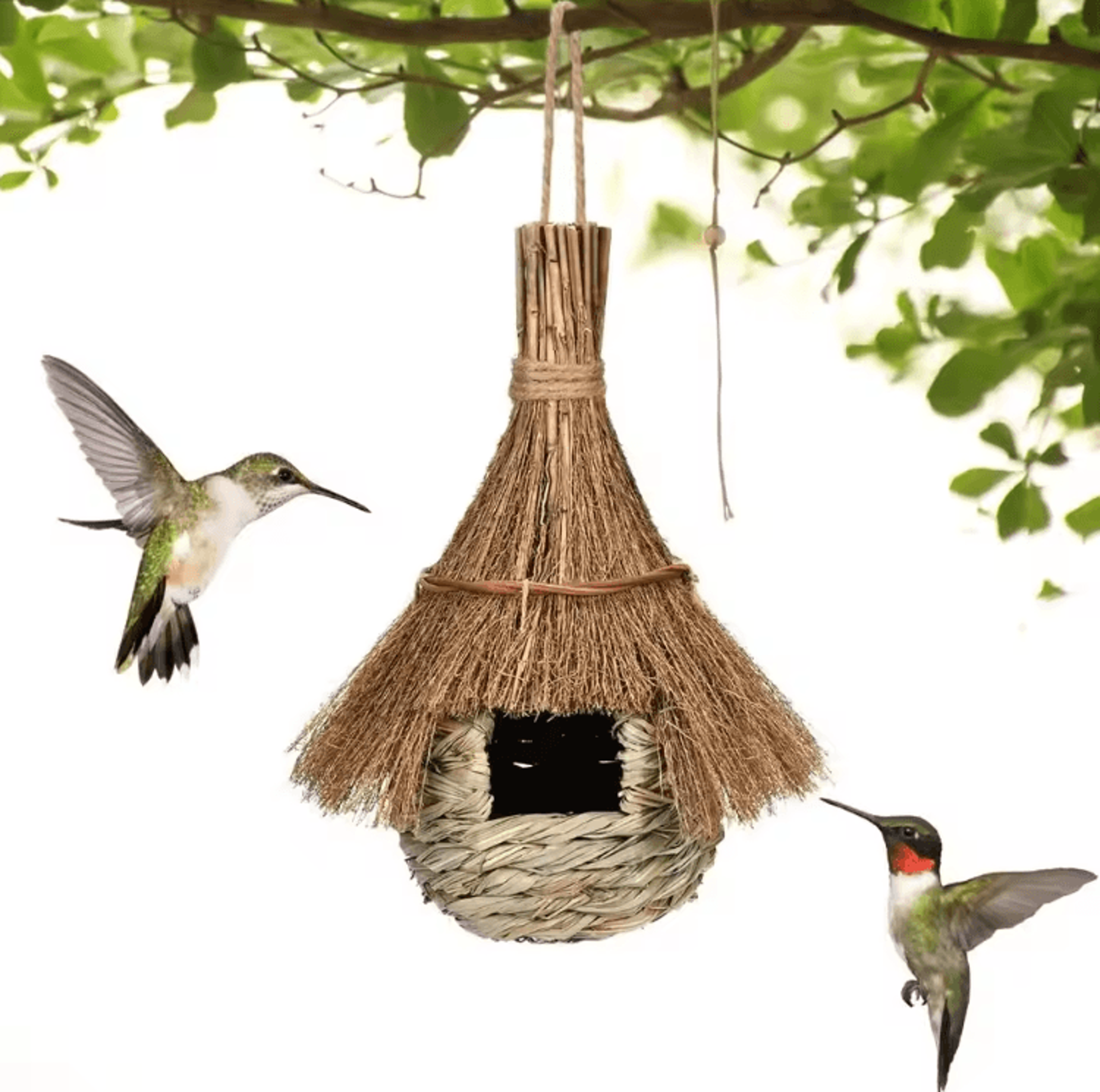 Handwoven Grass Bird House  Hanging EcoFriendly Cozy Bird Nest Shelter 0