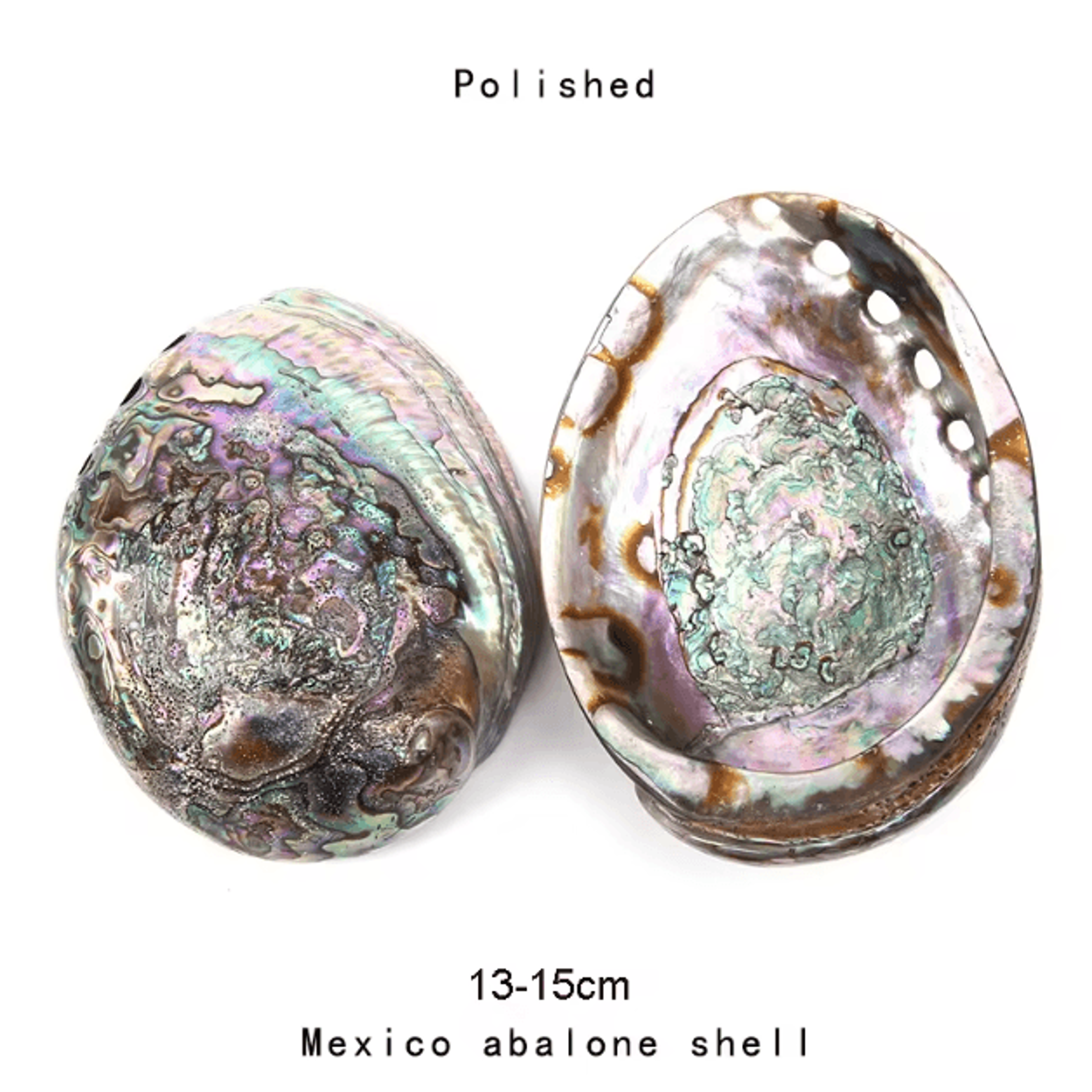 Paua Abalone Shell Sage Smudge Kit With Stand  Natural Energy Cleansing  Spiritual Home Decor 4