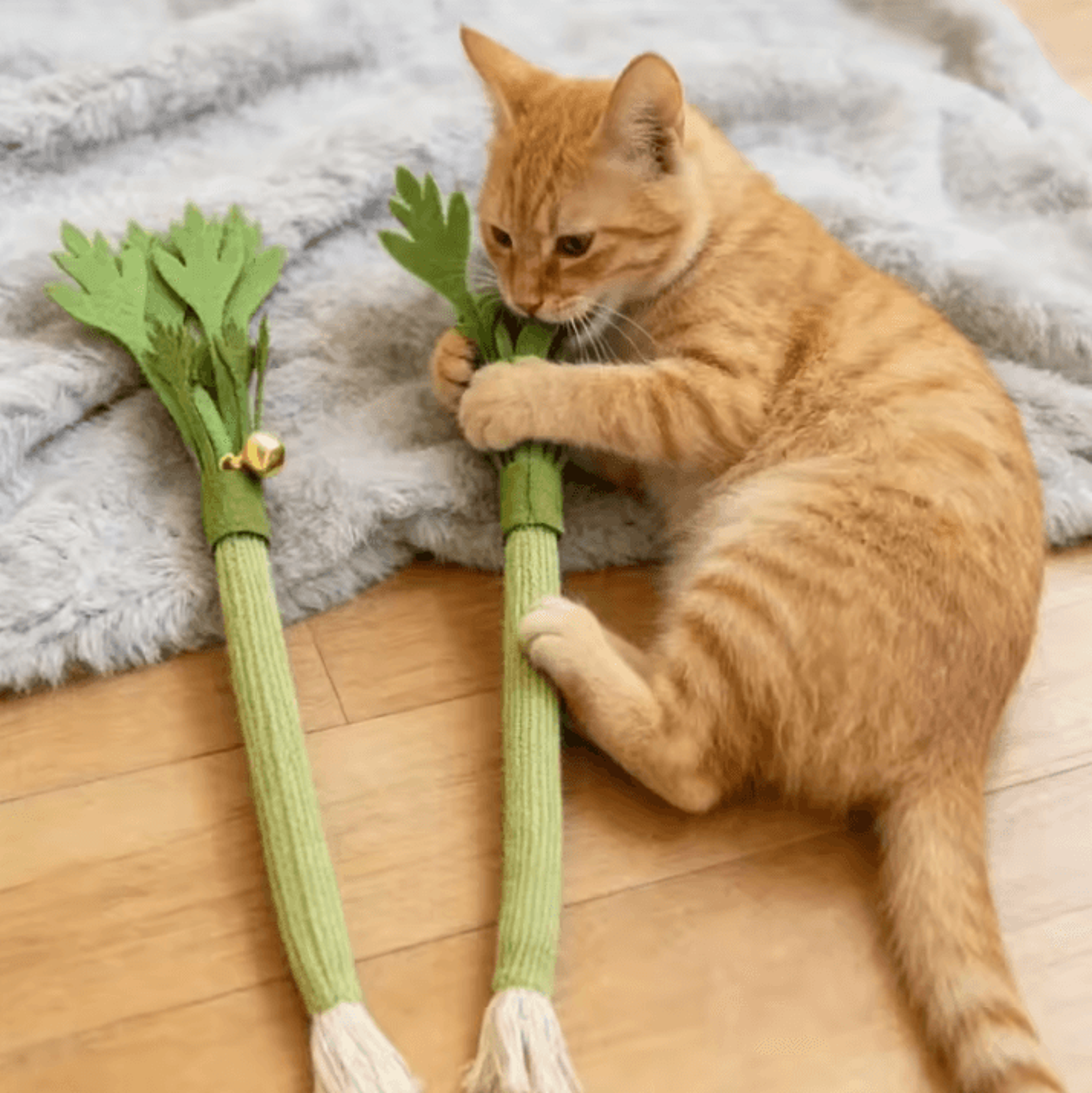WhiskerFresh Catnip Dental Chew Toy For Teeth Cleaning  Interactive Play 1