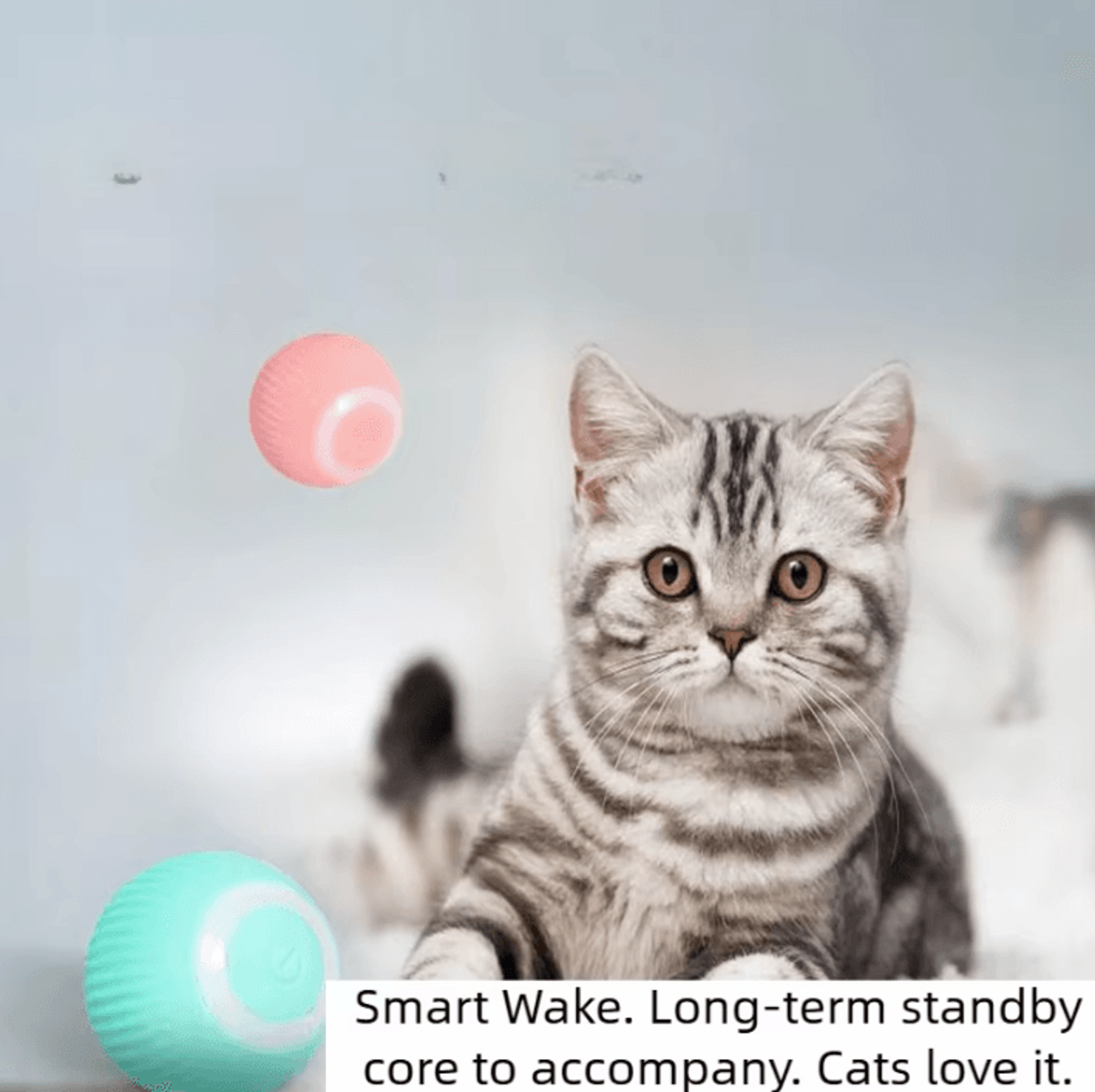 RolliePounce Smart Interactive Rolling Ball Cat Toy 2