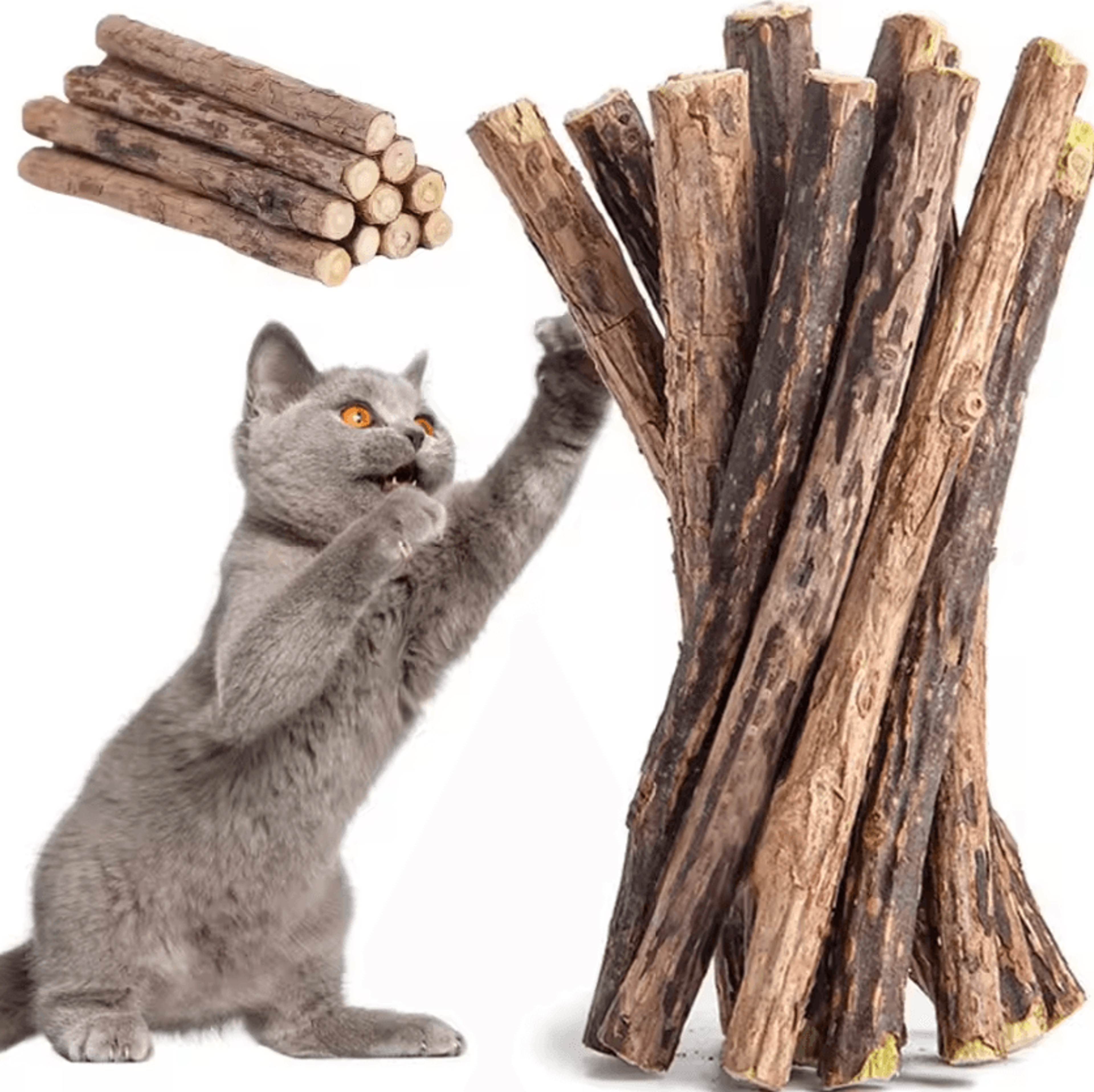SilverMint Natural Matatabi  Silvervine Cat Chew Toy Sticks 5