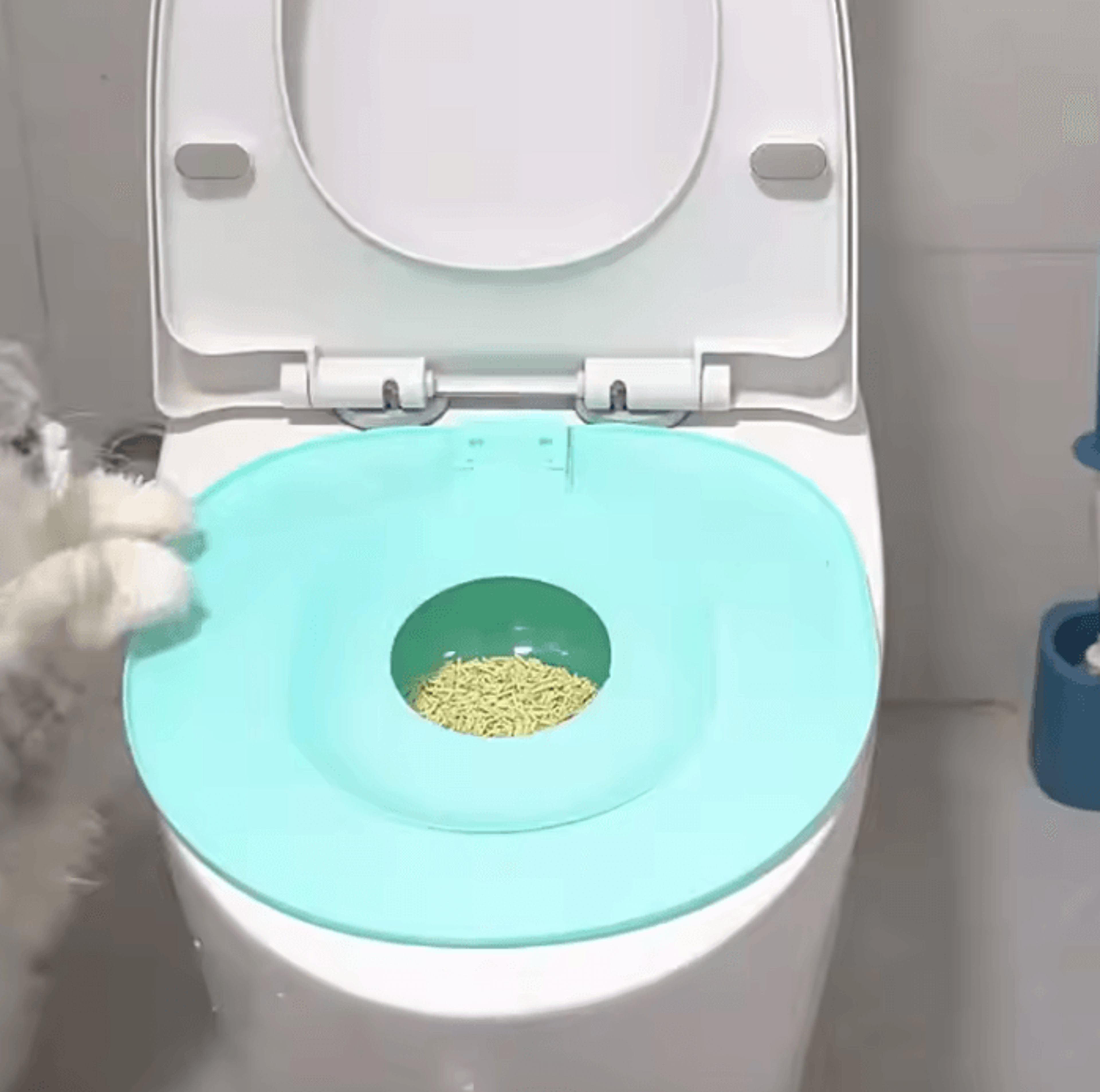 Reusable Cat Toilet Training Kit For LitterFree Potty Training 4