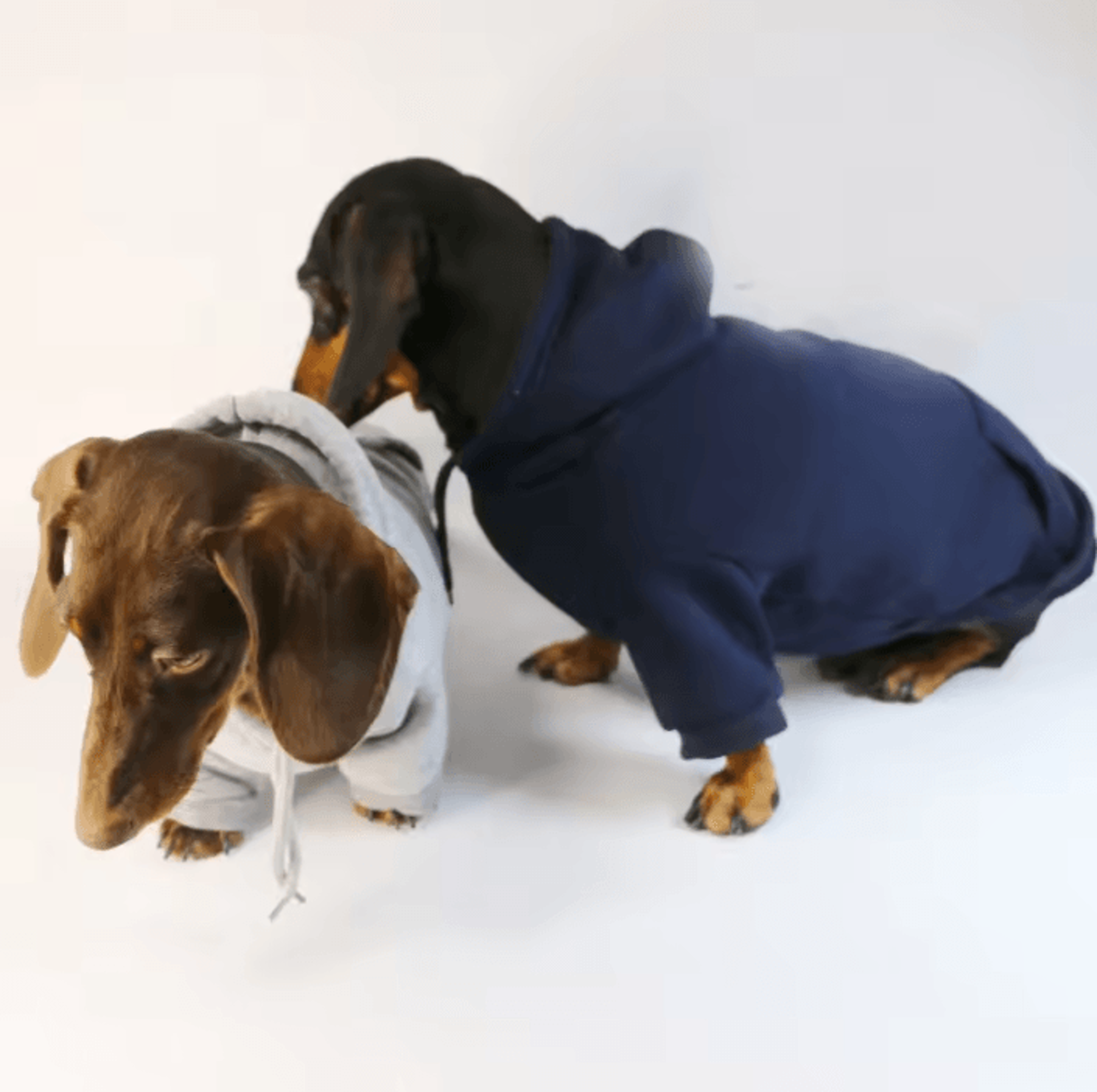 Sausage Pup Cozy Hoodie For Small Dogs 1