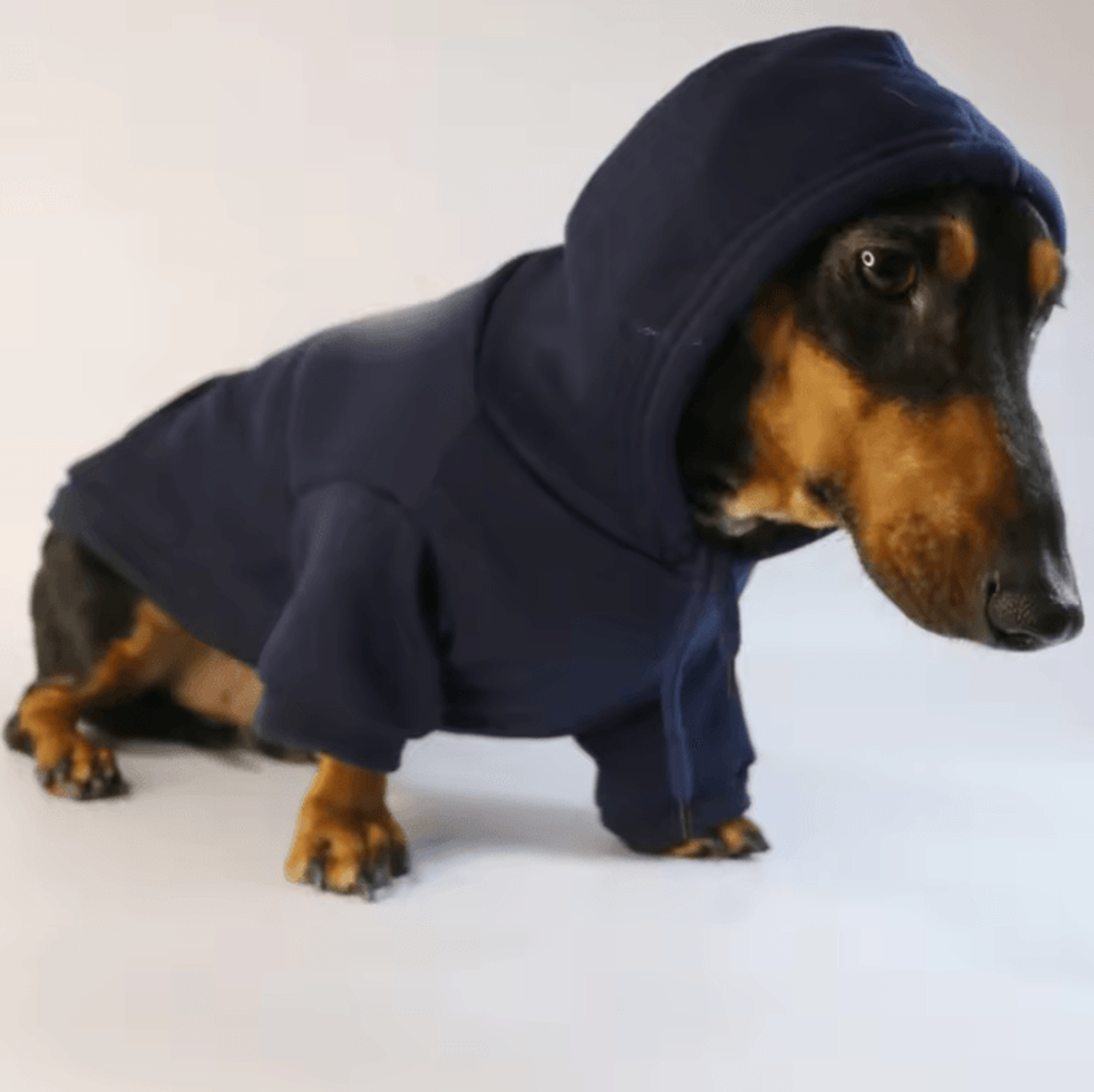 Sausage Pup Cozy Hoodie For Small Dogs 4
