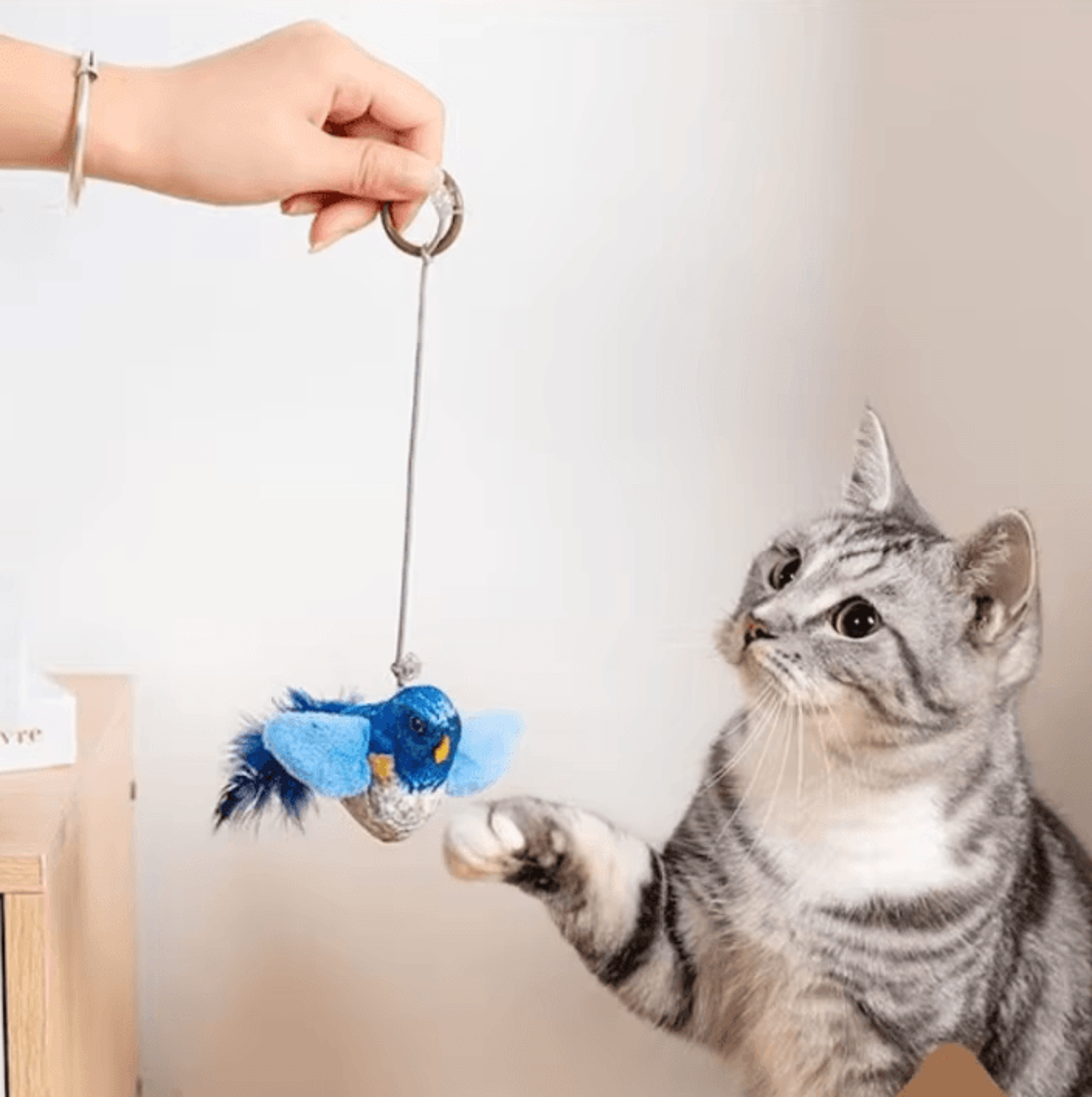 ChirpyBird Interactive WallHanging Cat Toy 1