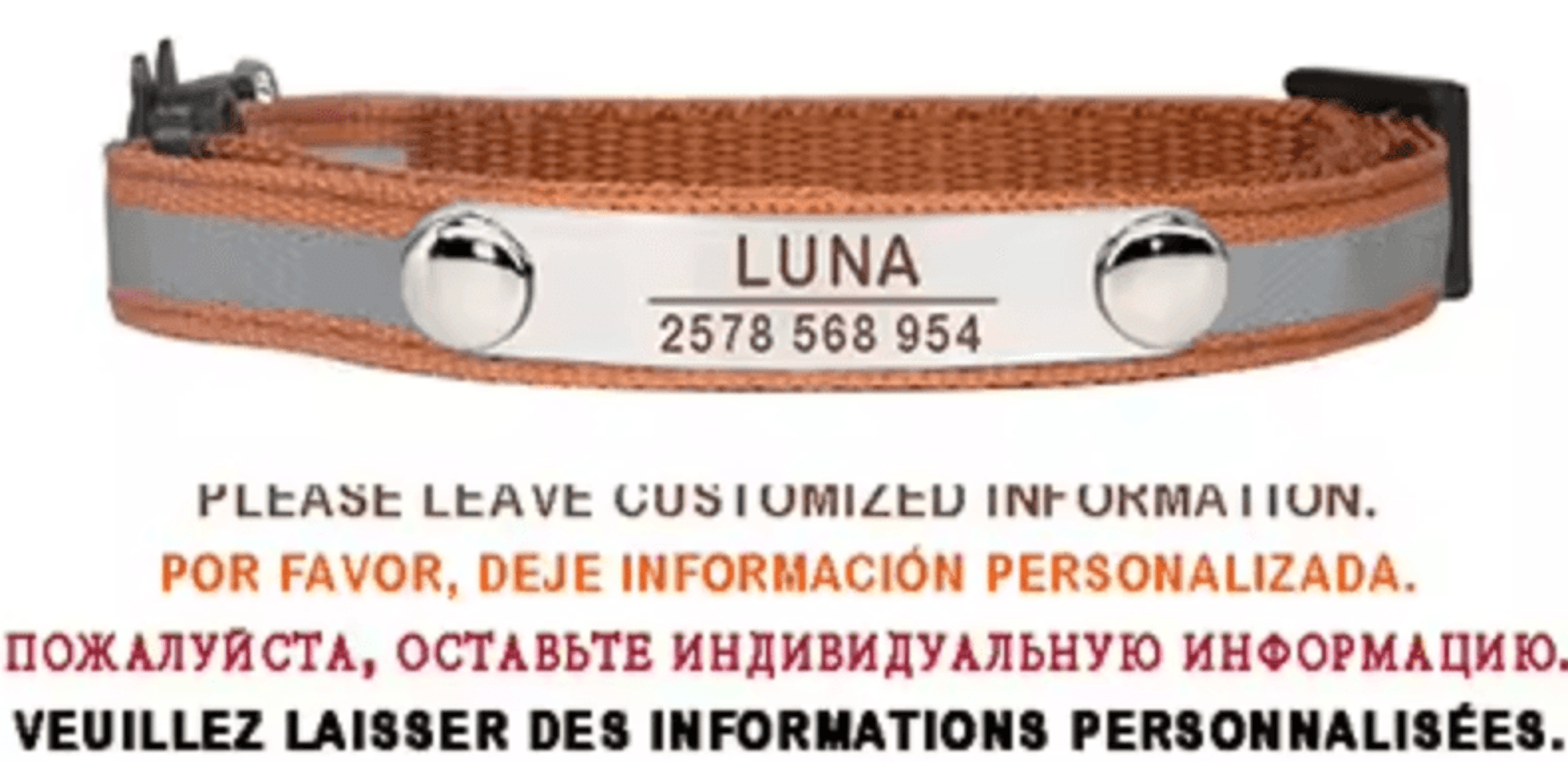 SafeGlow Personalized Reflective Cat Collar 4