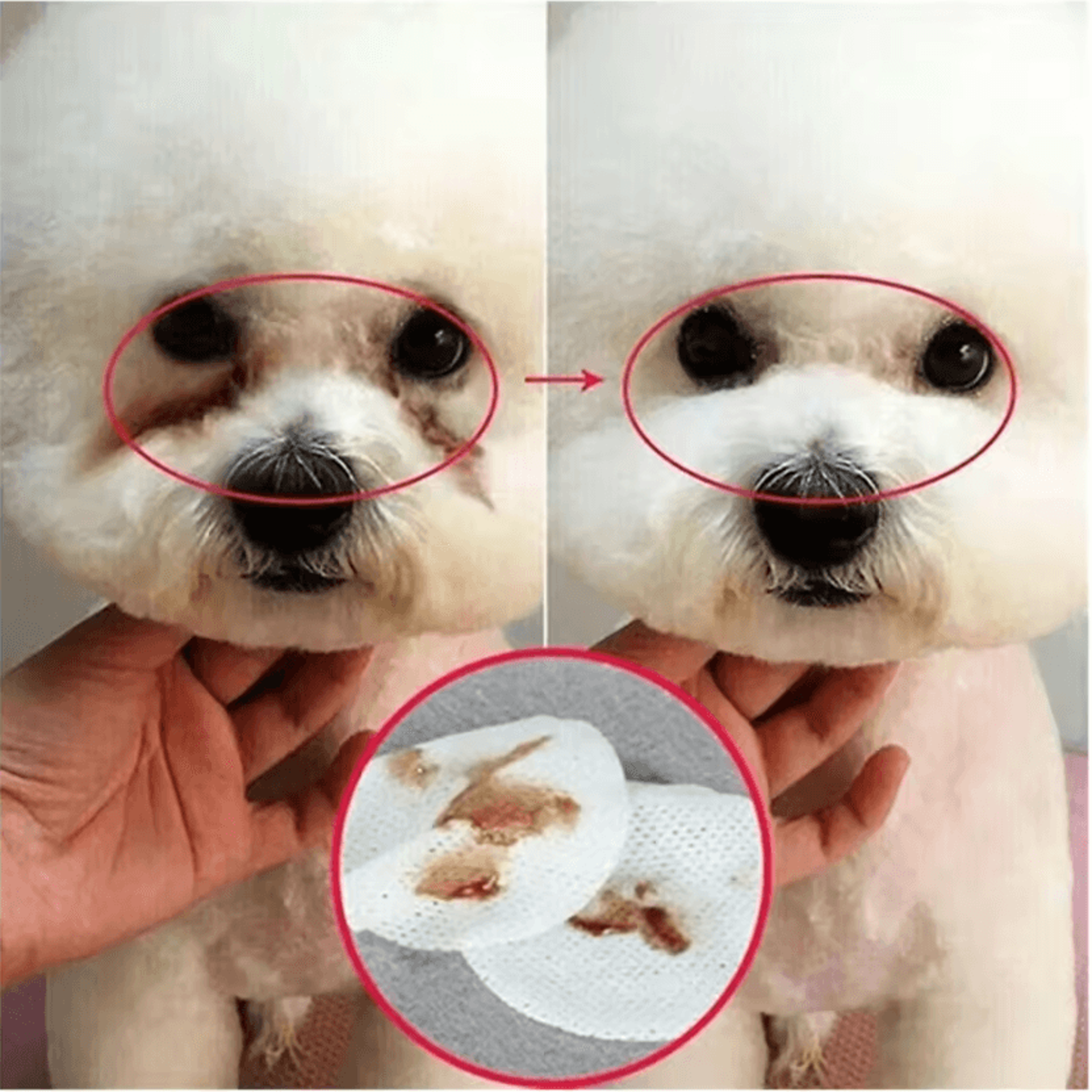 PureCare Tear Stain  Ear Cleaning Wipes For Pets 4