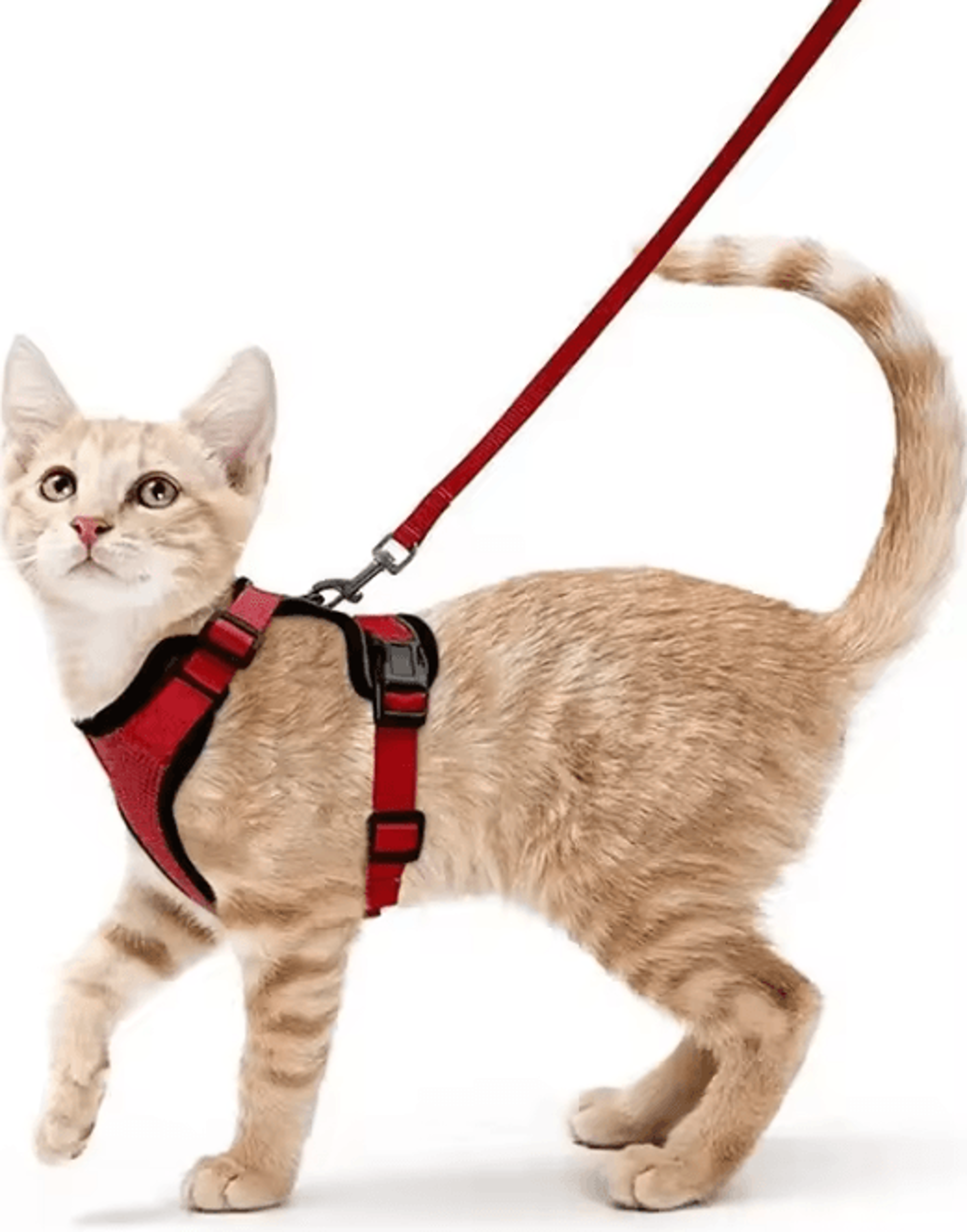 ATUBAN EscapeGuard Reflective Cat Harness  Leash Set 9