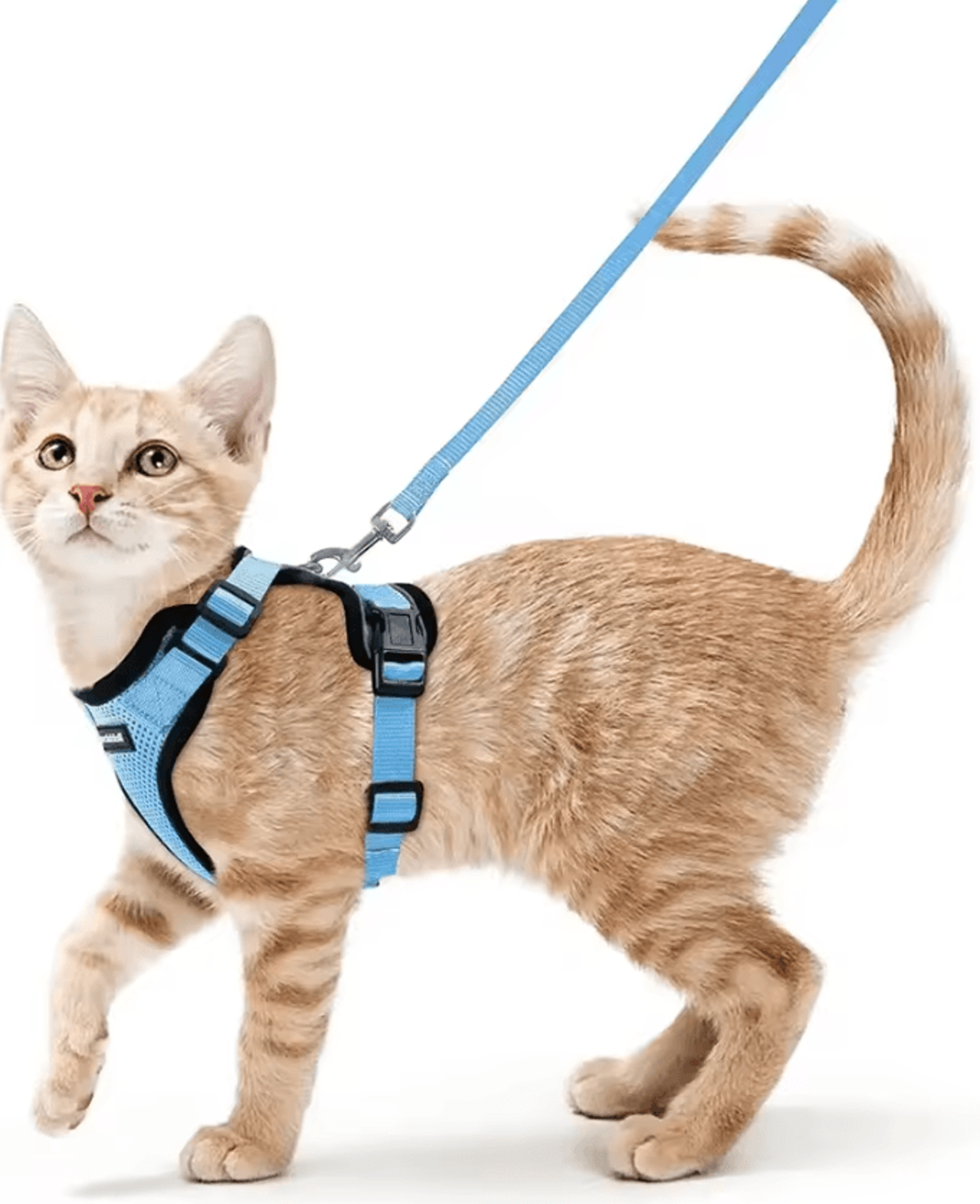 ATUBAN EscapeGuard Reflective Cat Harness  Leash Set 12