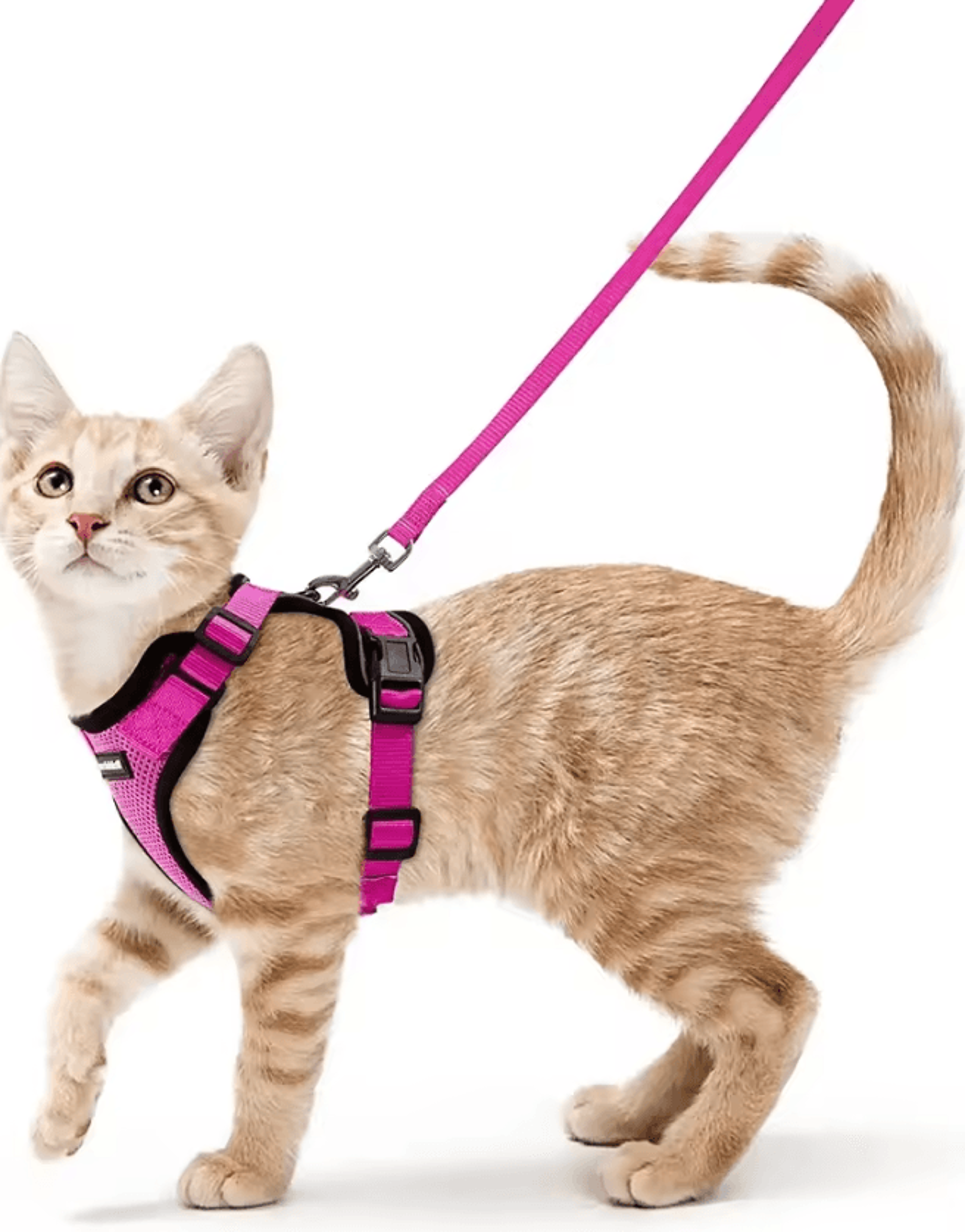 ATUBAN EscapeGuard Reflective Cat Harness  Leash Set 4