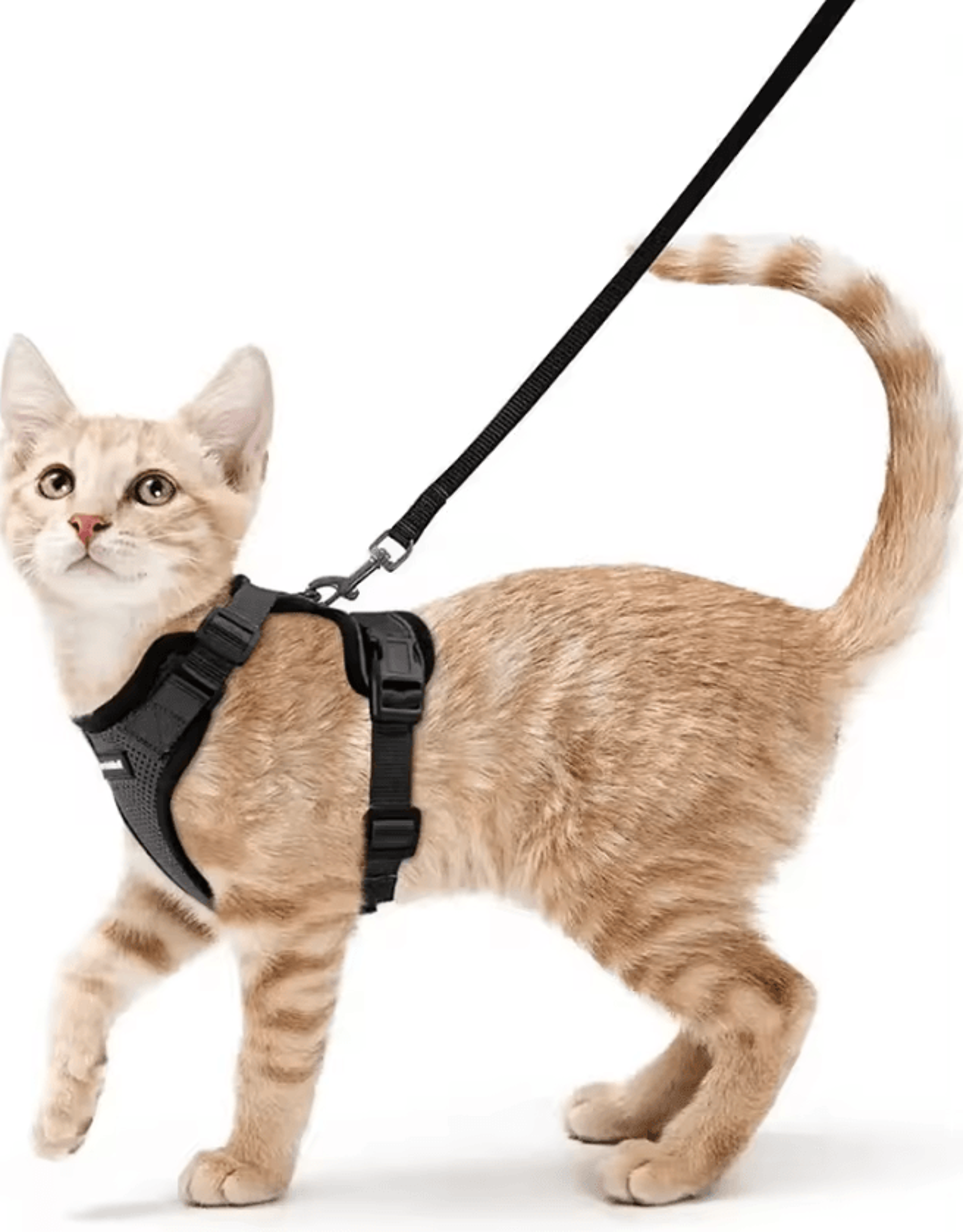 ATUBAN EscapeGuard Reflective Cat Harness  Leash Set 7