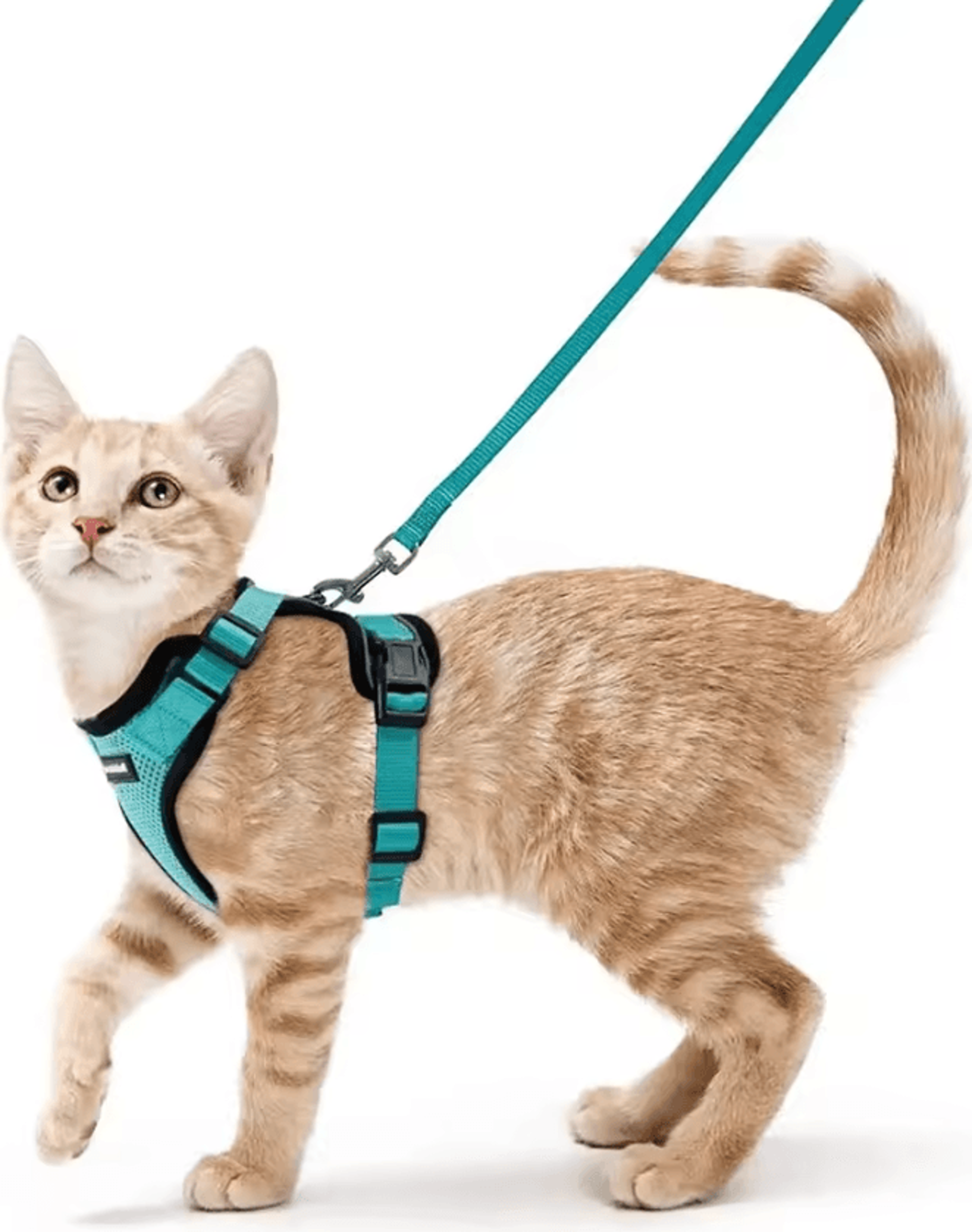 ATUBAN EscapeGuard Reflective Cat Harness  Leash Set 8