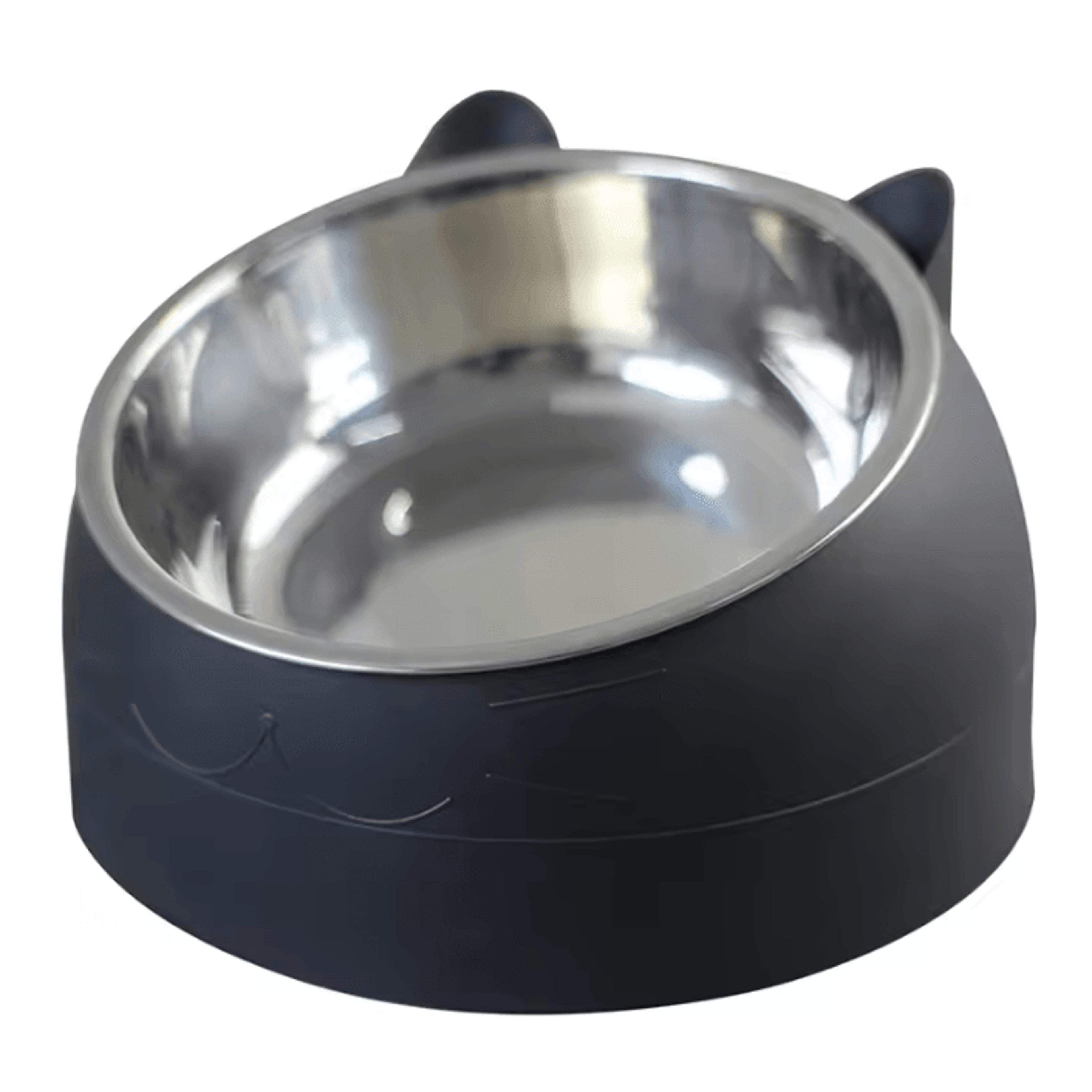 ComfortTilt Stainless Steel Elevated Pet Bowl 1